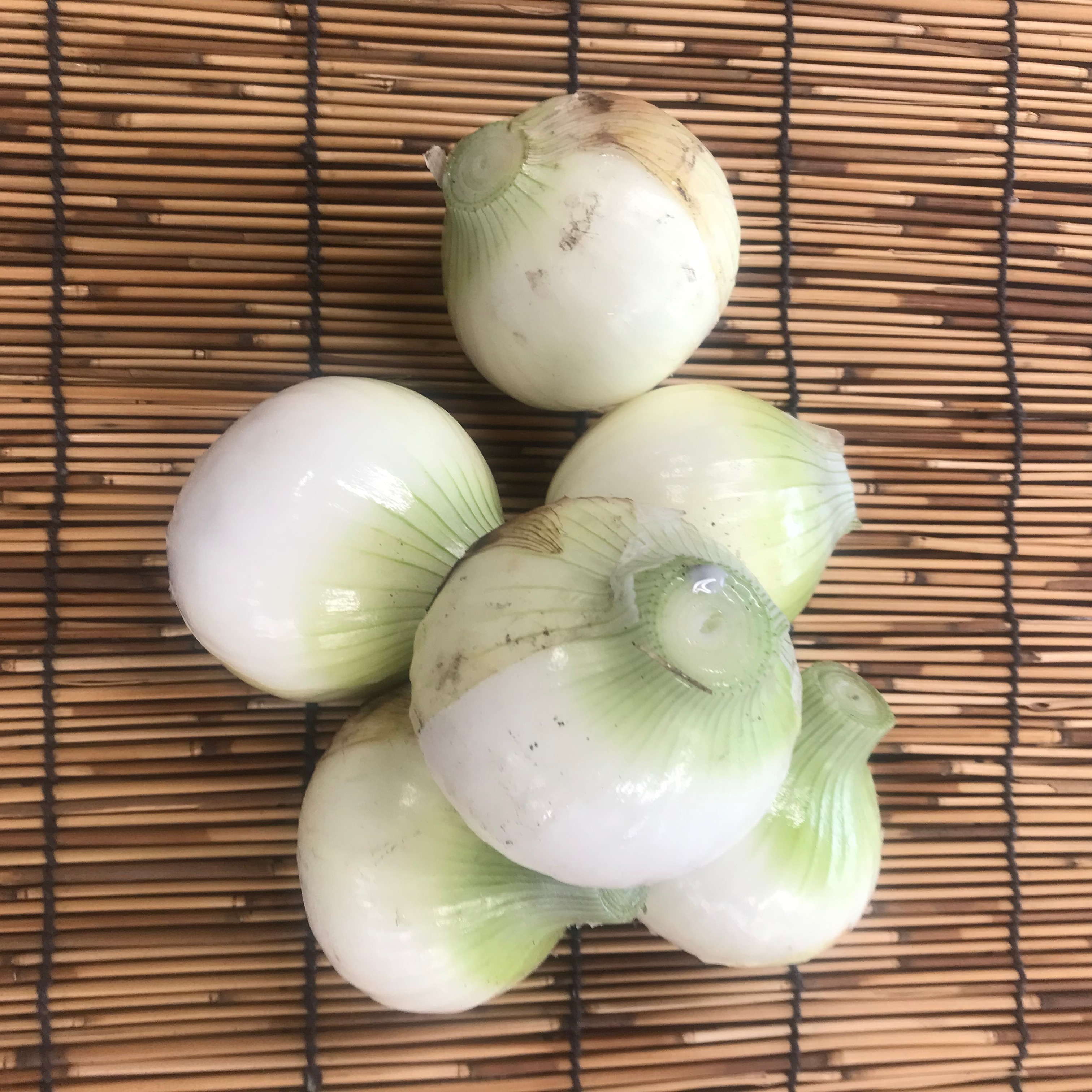 玉ねぎ M〜Lサイズ 4kg 18個〜20個 | 野菜/玉ねぎ 産直アウル 農家から