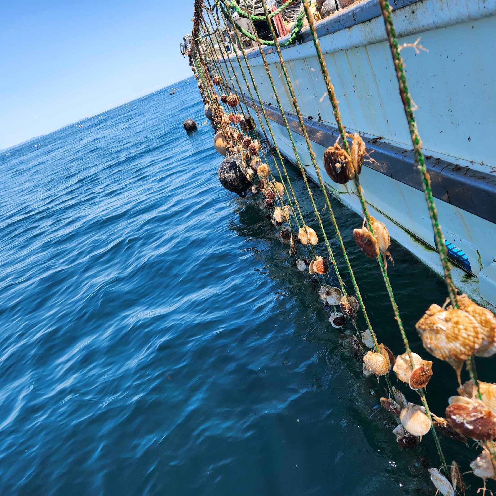 3ea5462cb7aa837f952c518502629a