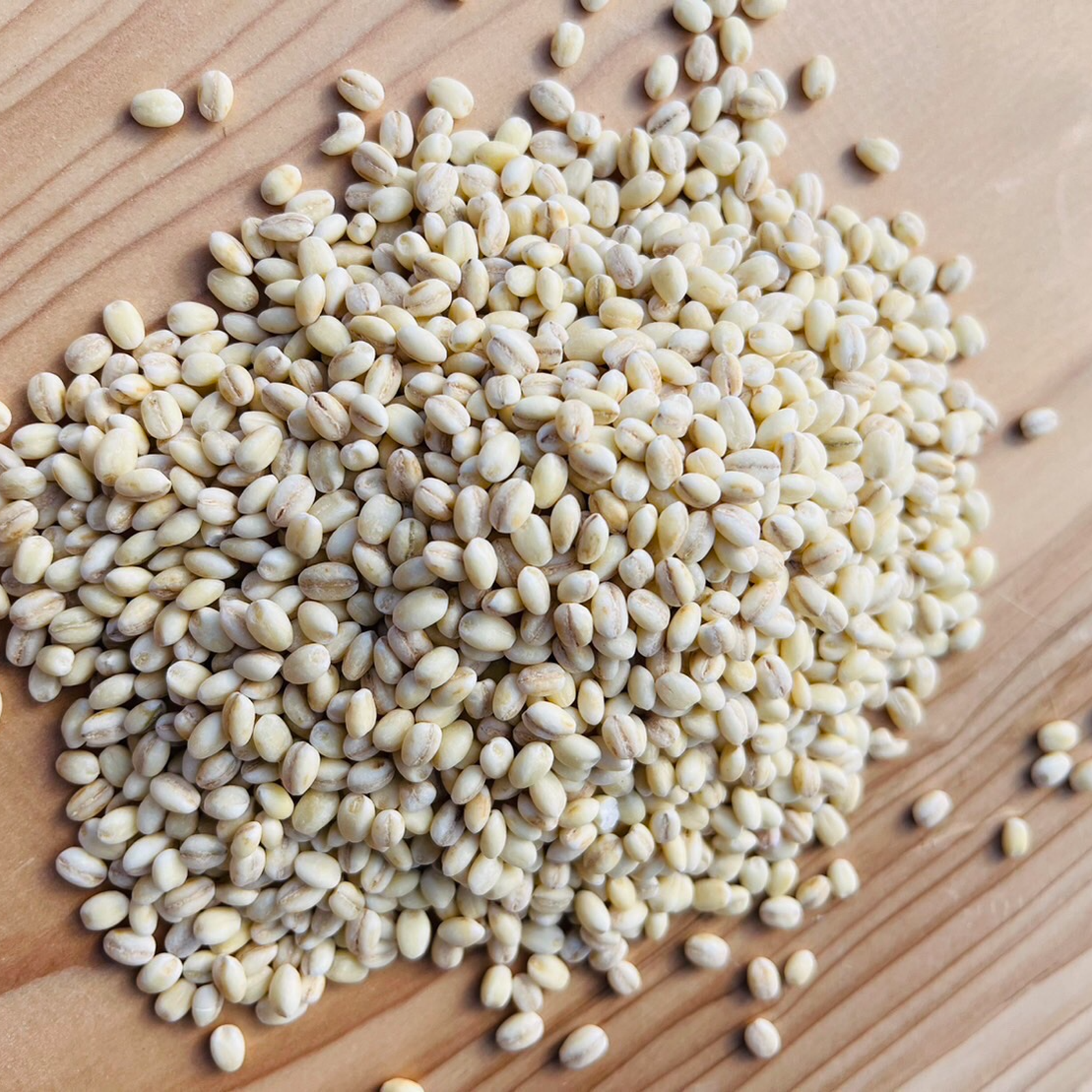 送料一律【1kg】無農薬 もち麦(キラリモチ) ｜ 米・穀物/雑穀 産直