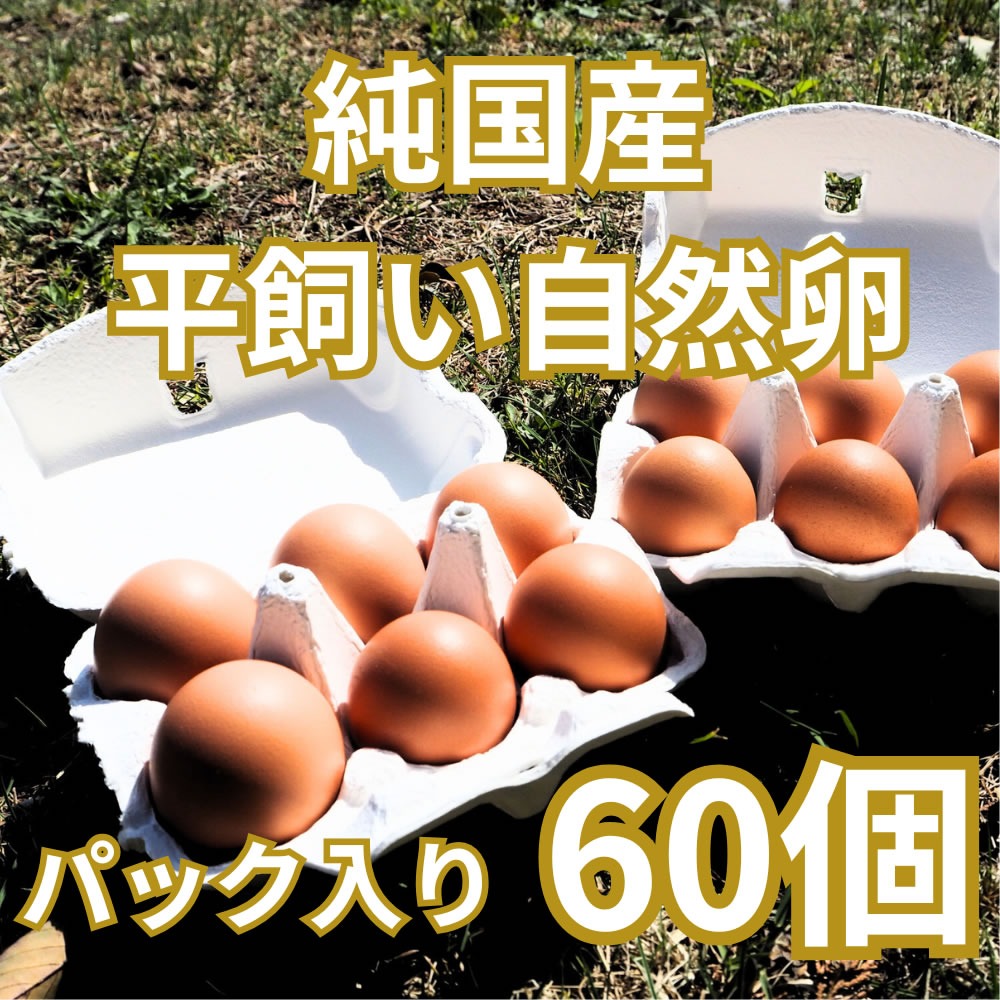 平飼い卵90個10/9常温発送 平飼いたまご 燦煌の恵み | 株式会社デイリーエッグ
