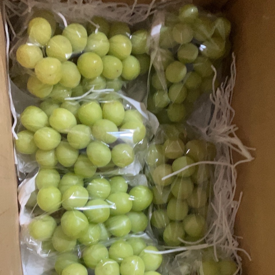 南アルプス市産【クール便・園主おまかせ】シャインマスカット 2kg