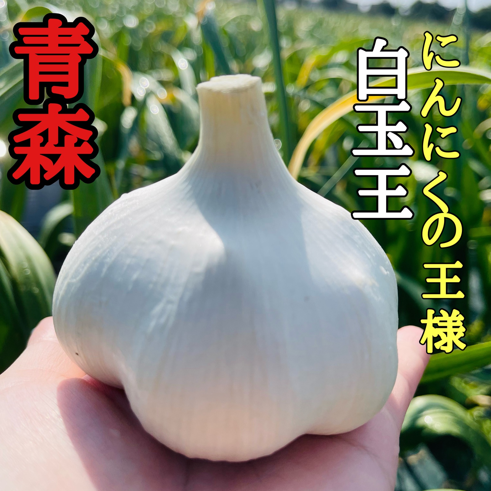 3f1292a3f3bfd62252d3c6ca1fb3c8