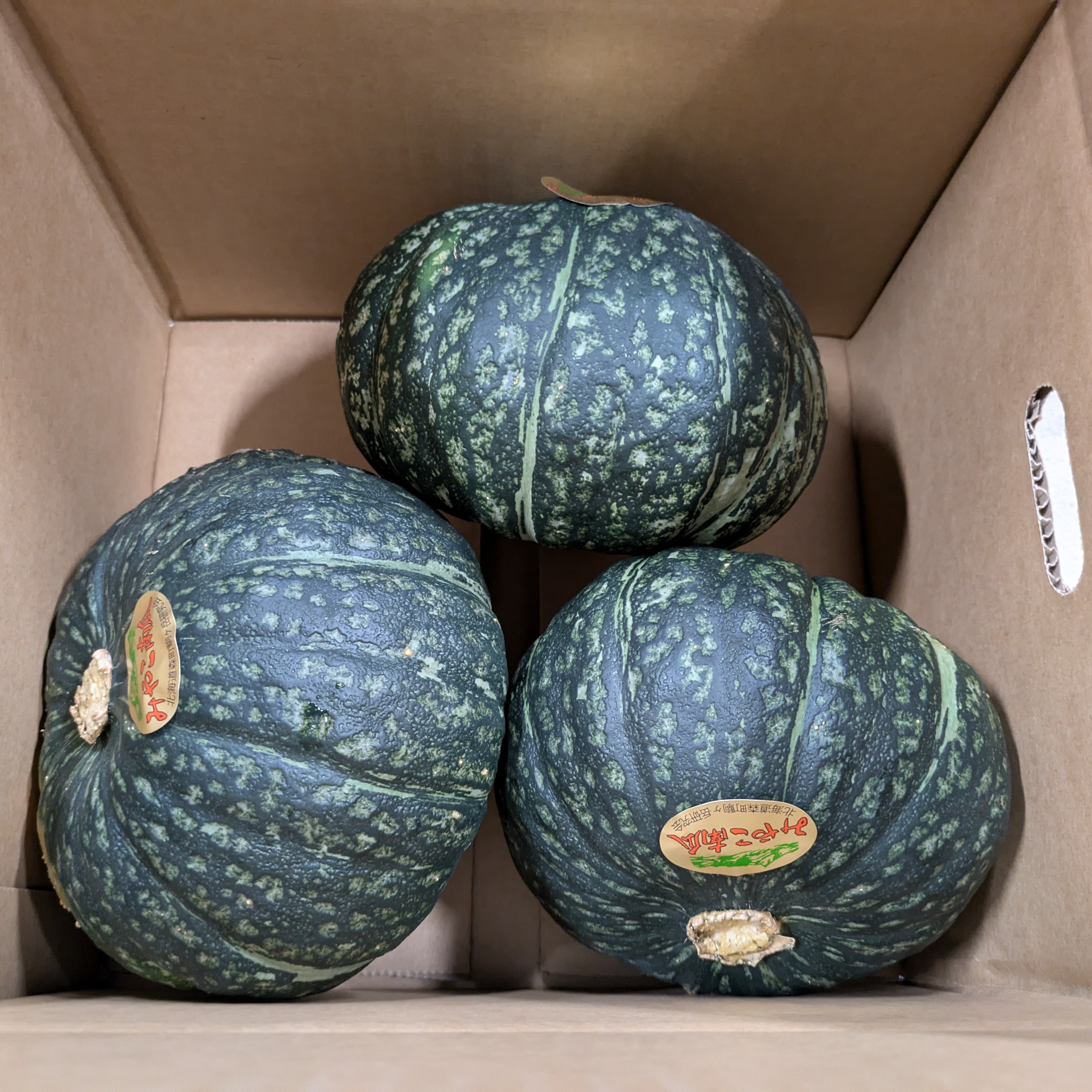 ちゃこさん専用