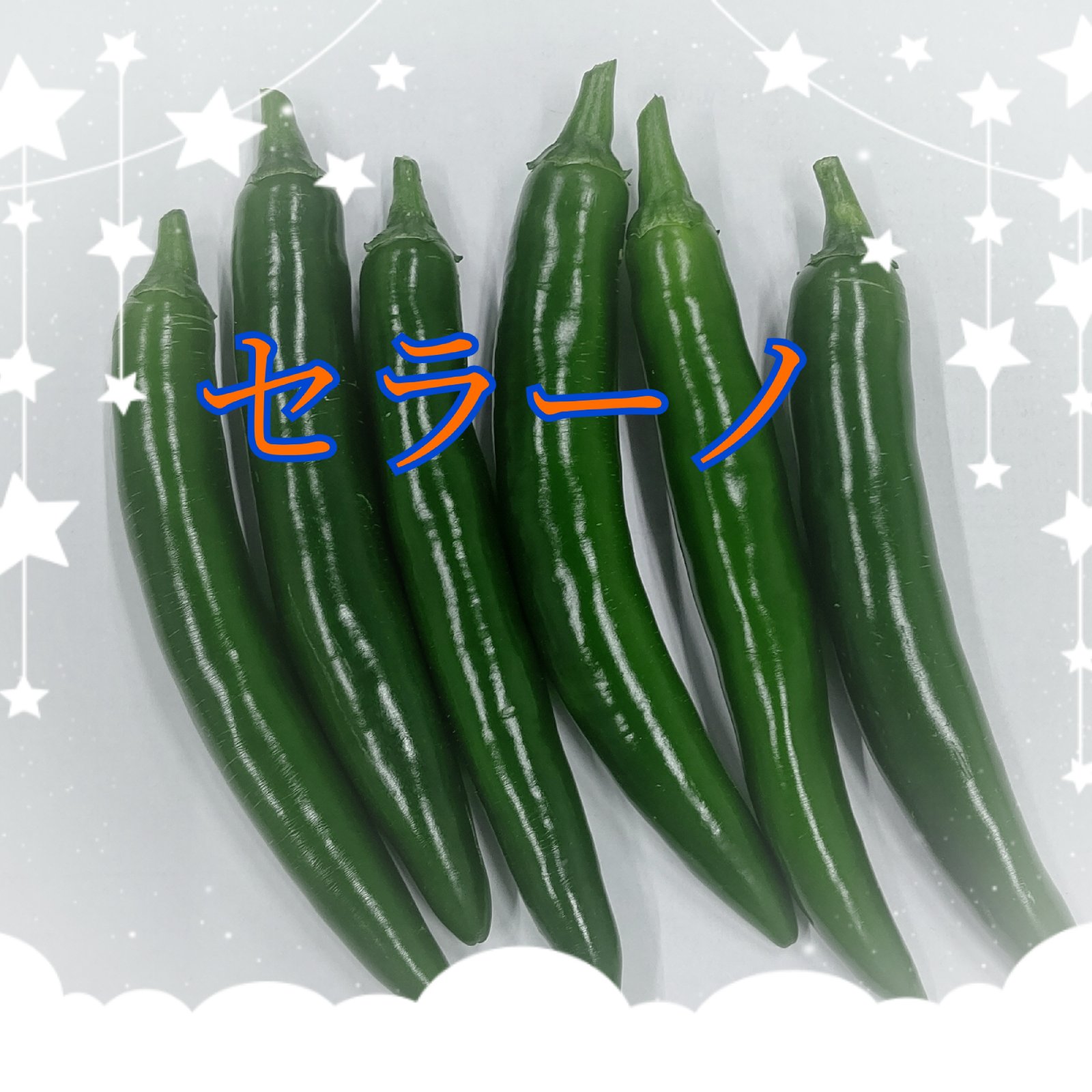 セラーノ 青唐辛子♪800g ｜ 野菜/スパイス 産直アウル 農家・漁師など