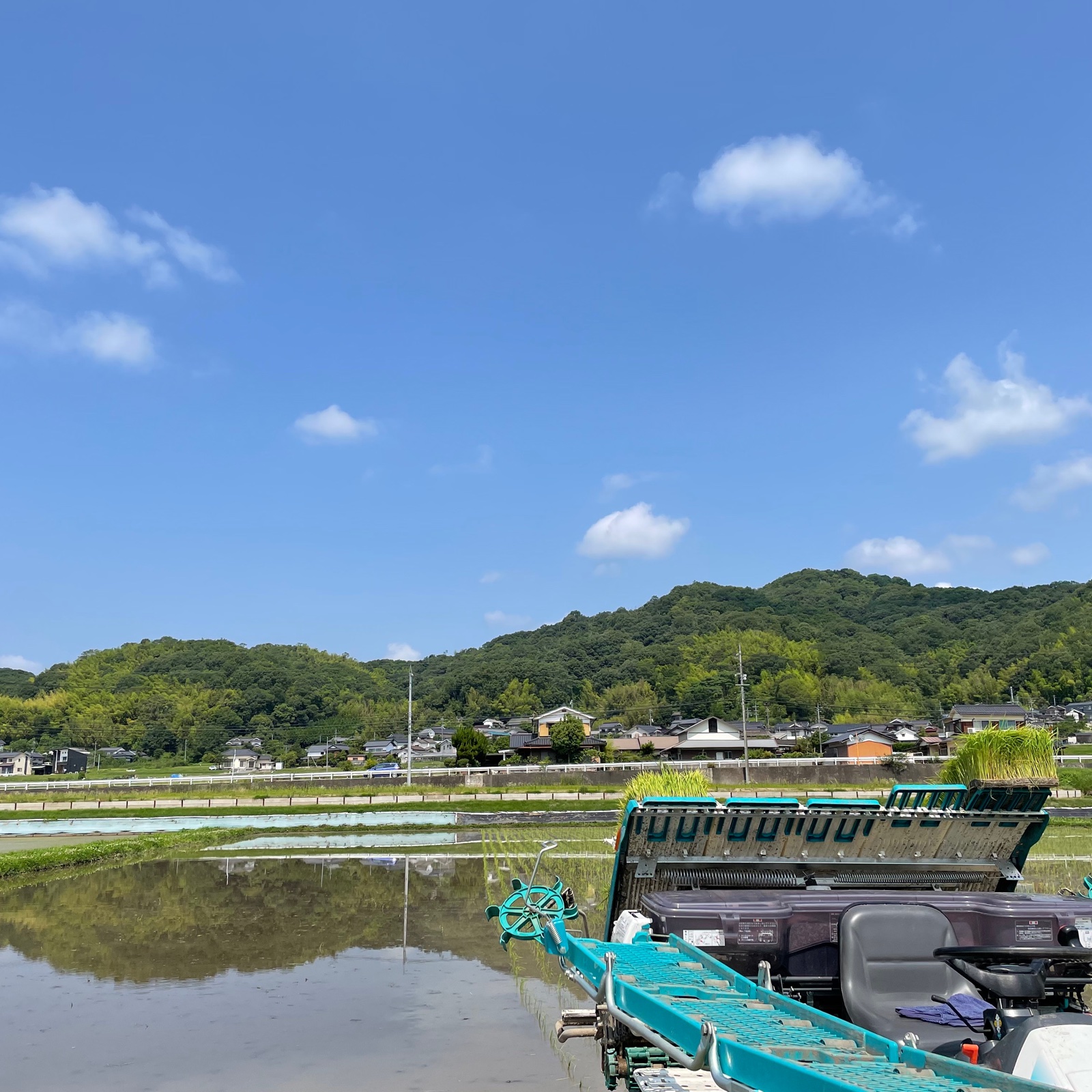 令和7年産】きぬむすめ 5kg ｜ 米・穀物/米/精米 産直アウル 農家
