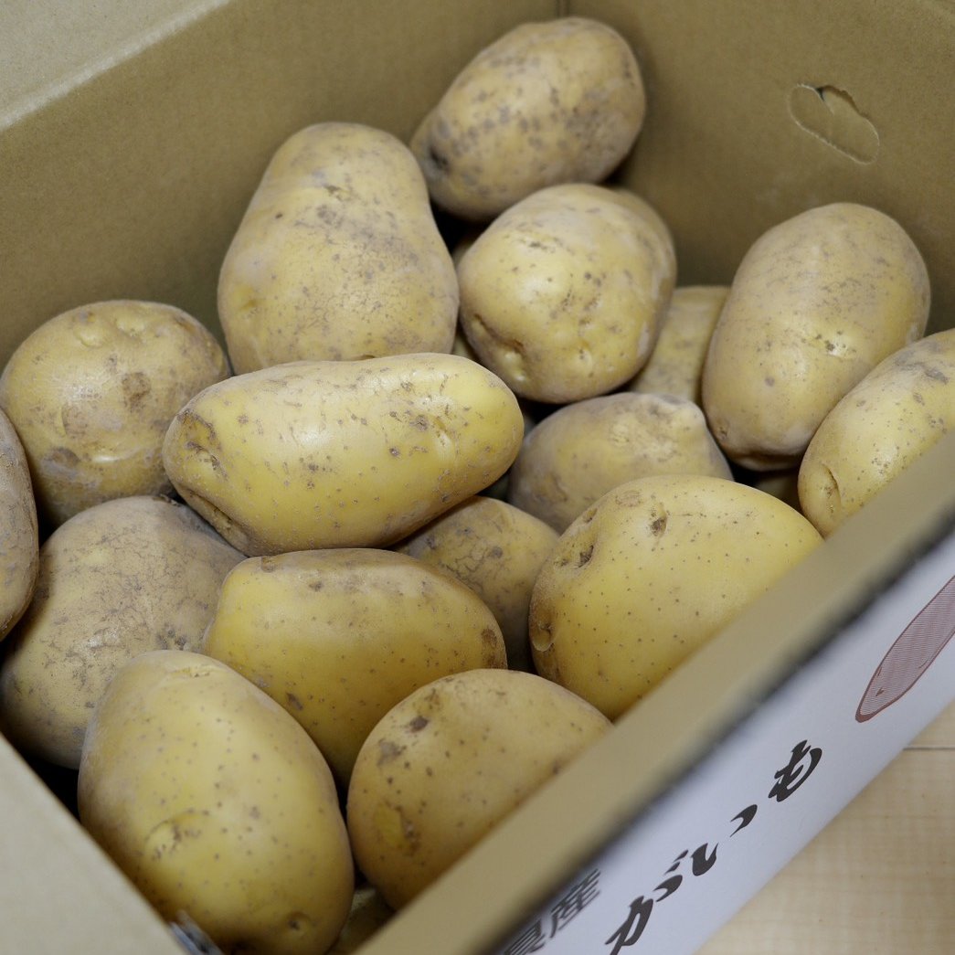 ☆N.T☆！俵マゼラン10㎏、ながさき黄金じゃがいも10㎏　計20㎏ じゃがいも「ながさき黄金」 ｜ 野菜/じゃがいも 産直アウル 農家