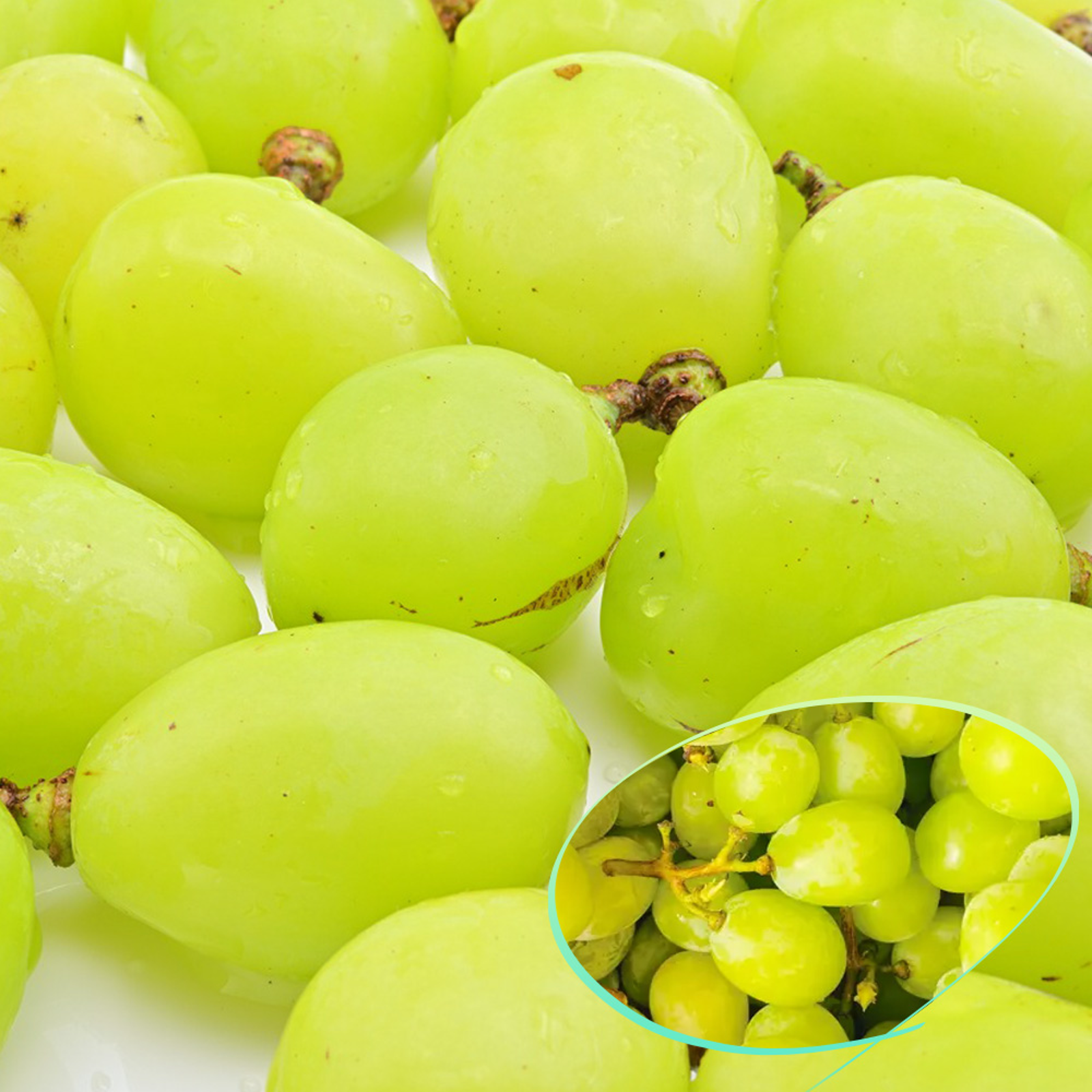 特大粒　大房 【はる特別価格】出品　高級シャインマスカット　5kg