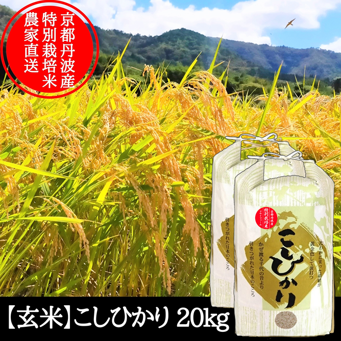 ３　　福島県産コシヒカリ中米　８５００円/１５ｋｇ玄米　東日本送料込み　特別栽培米 75-7N101B新潟県長岡産コシヒカリ10kg（特別栽培米）【2026年5月発送
