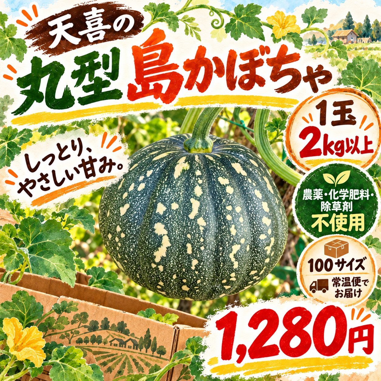 島かぼちゃ 丸型 1玉2kg以上｜農薬・化学肥料・除草剤不使用 ｜ 野菜