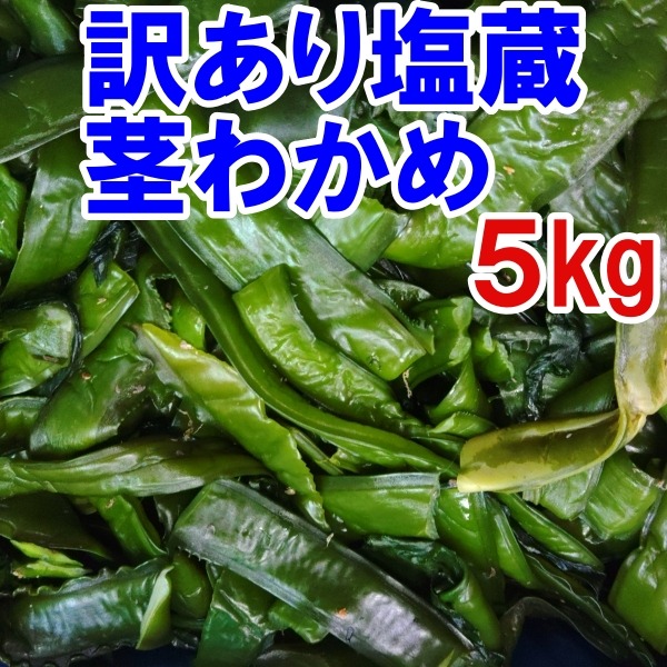2026年製品 5kg入 茎わかめ 茎ワカメ 塩蔵ワカメ B級品 訳あり品