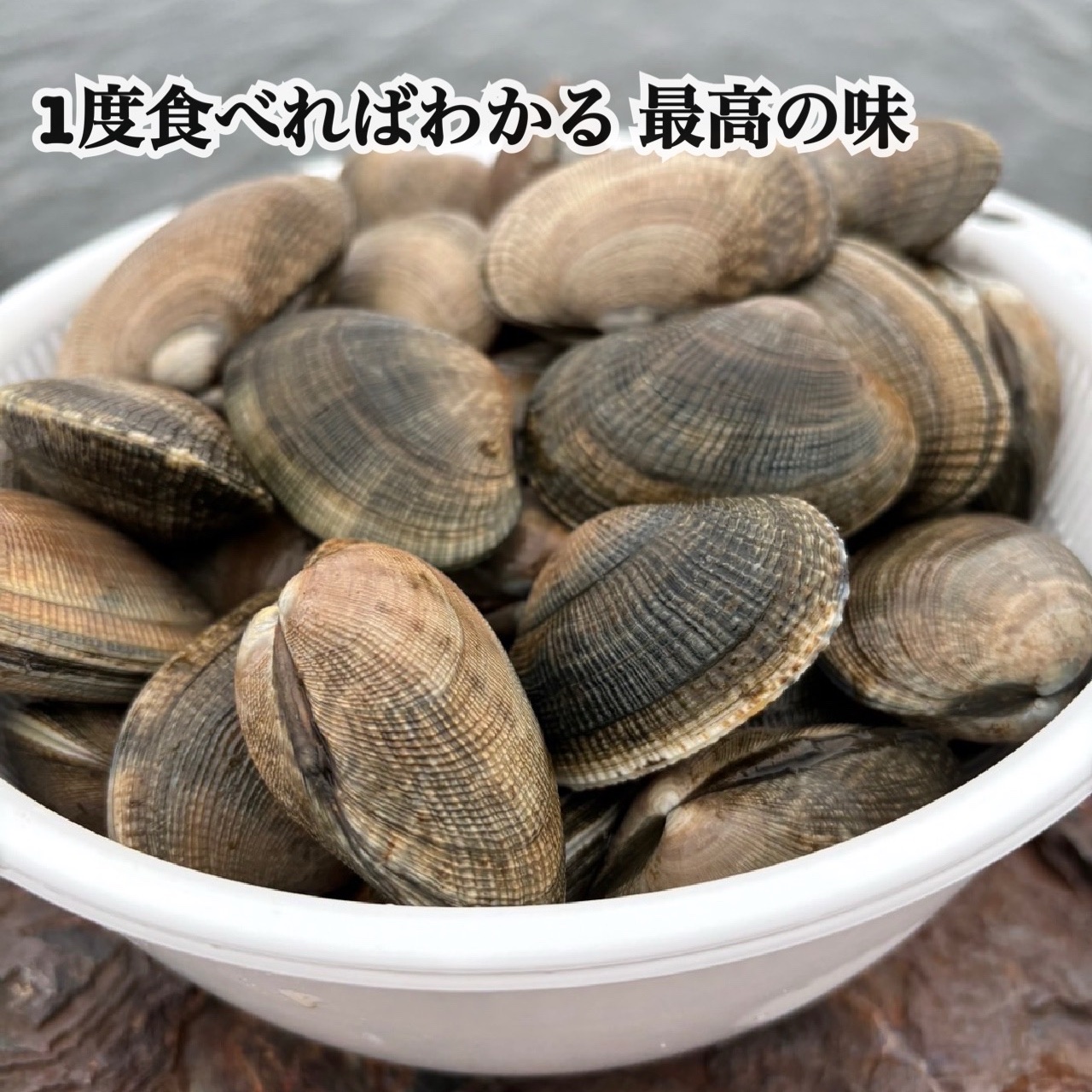 6周年限定】1度食べれば分かる最高の味 北海道 根室産アサリ お買い得