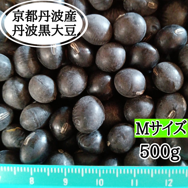 丹波黒大豆 Mサイズ 500g 京丹波産 令和7年産 ｜ 野菜/豆類 産直アウル