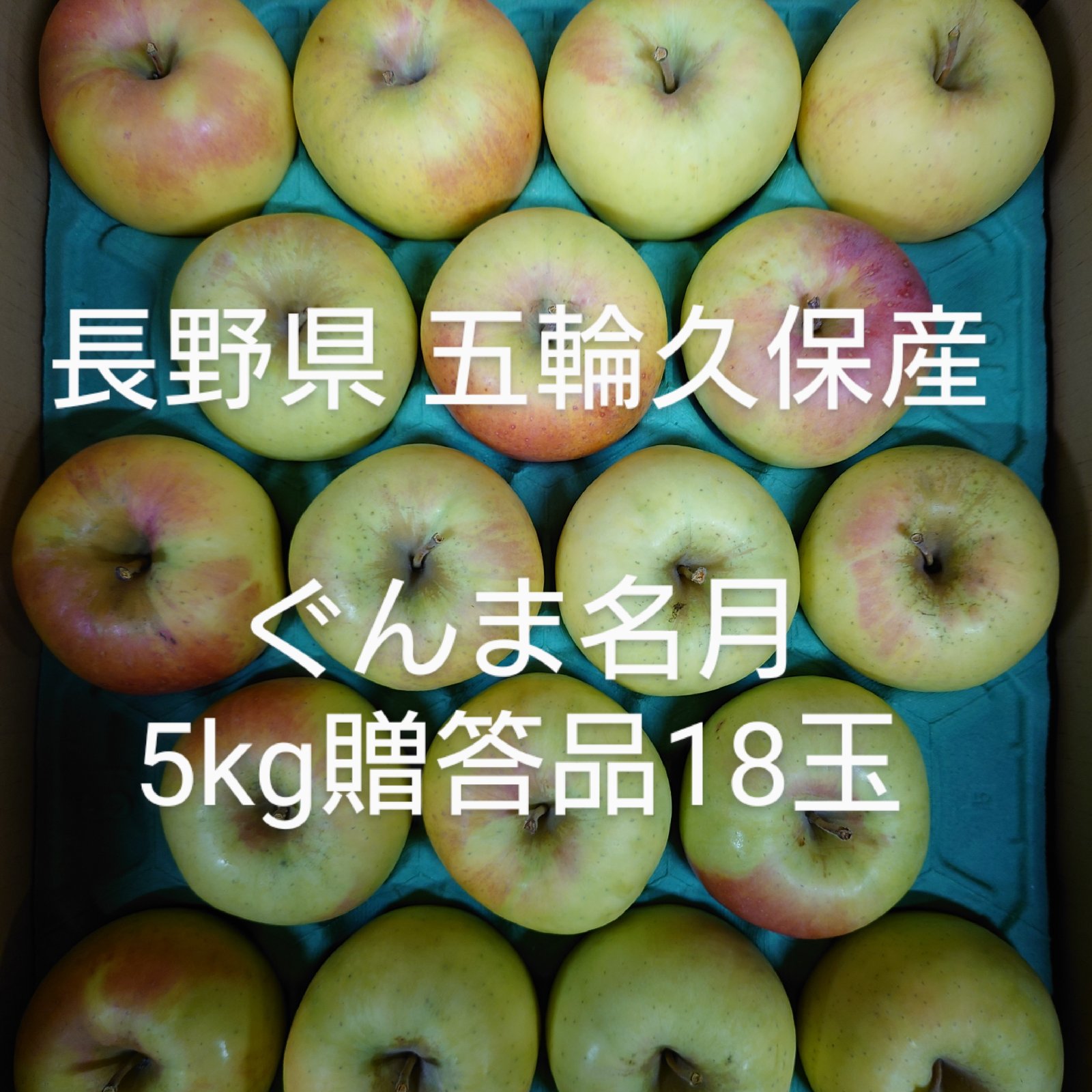 長野県 五輪久保産 ぐんま名月5kg18玉 | 果物/りんご 産直アウル 農家