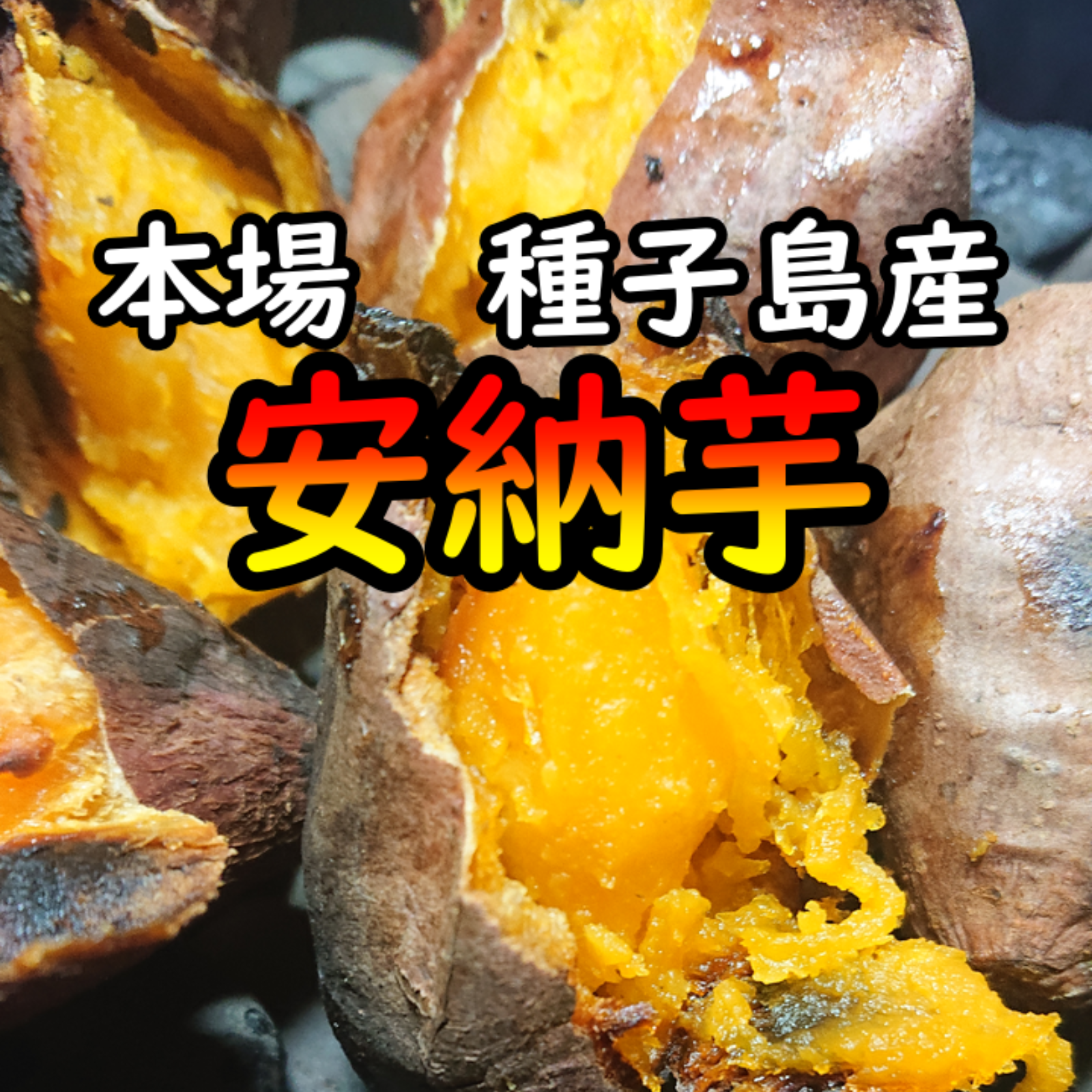【本場種子島産】完熟！ねっとり！安納芋紅2S　２０キロ【病気に負けるな】 本場種子島産】完熟！ねっとり！安納芋紅2S 2キロ【病気に負ける