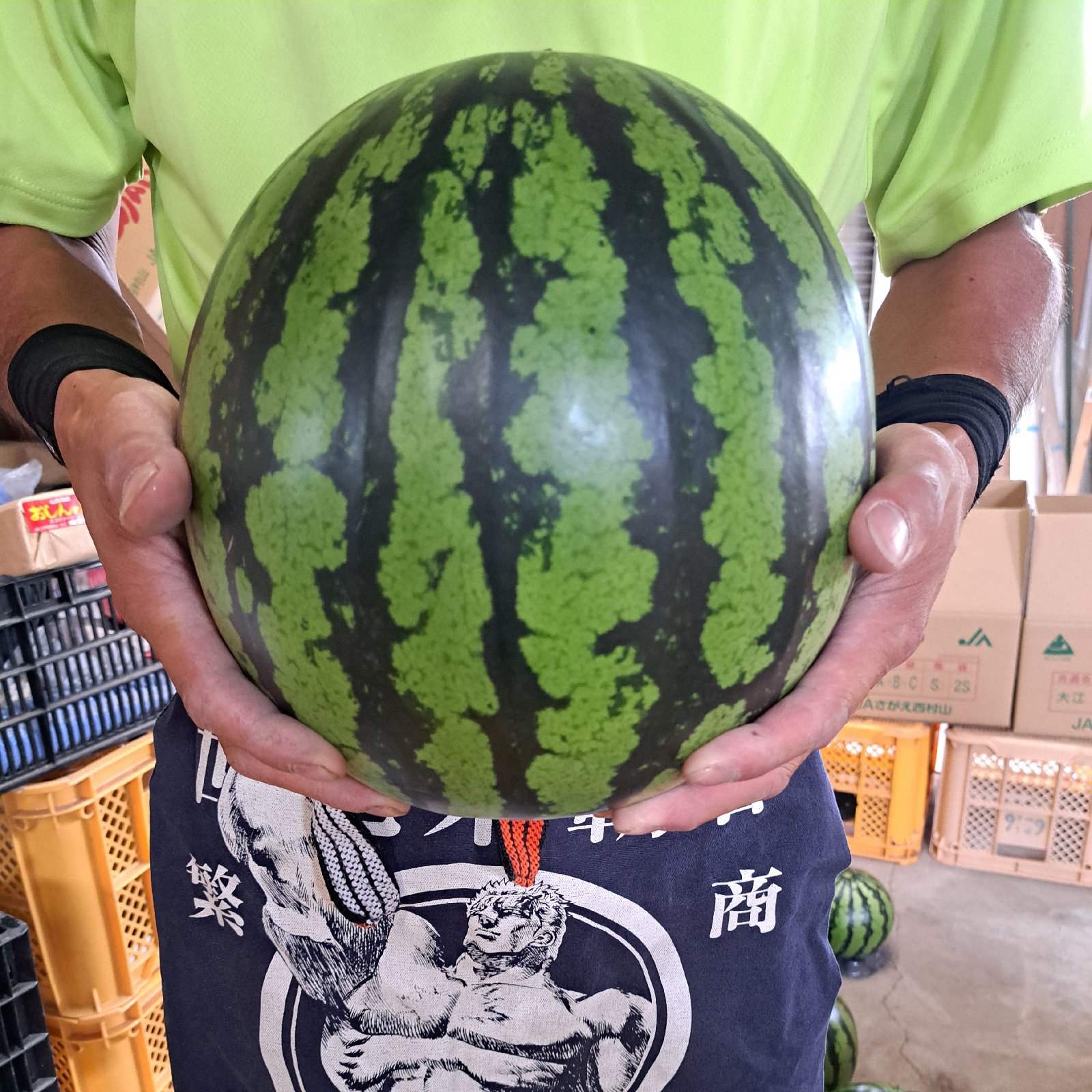 山形県産 すいか 羅皇ザ・スウィート 3Lサイズ ｜ 果物/スイカ 産直