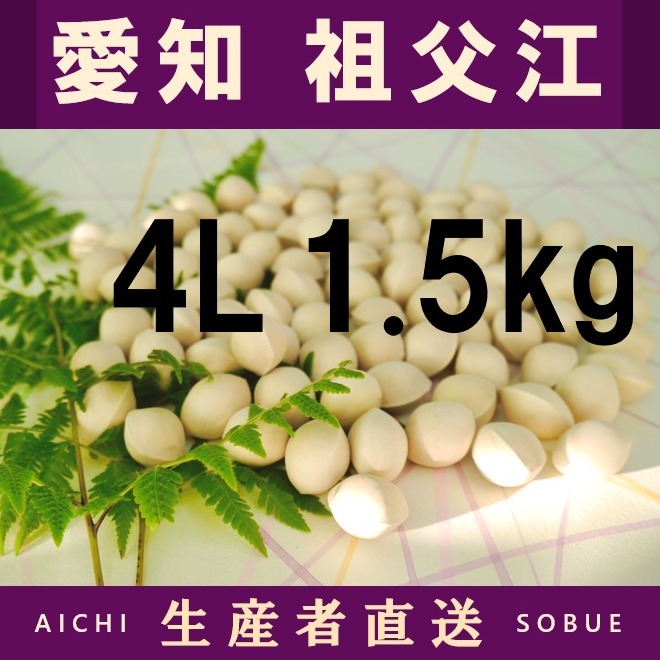 2026年新物 久寿 銀杏ぎんなん 祖父江産 4L 8kg 2026年新物！ 愛知県 祖父江産 久寿 銀杏 ぎんなん 4L 1.5kg ☆秋の