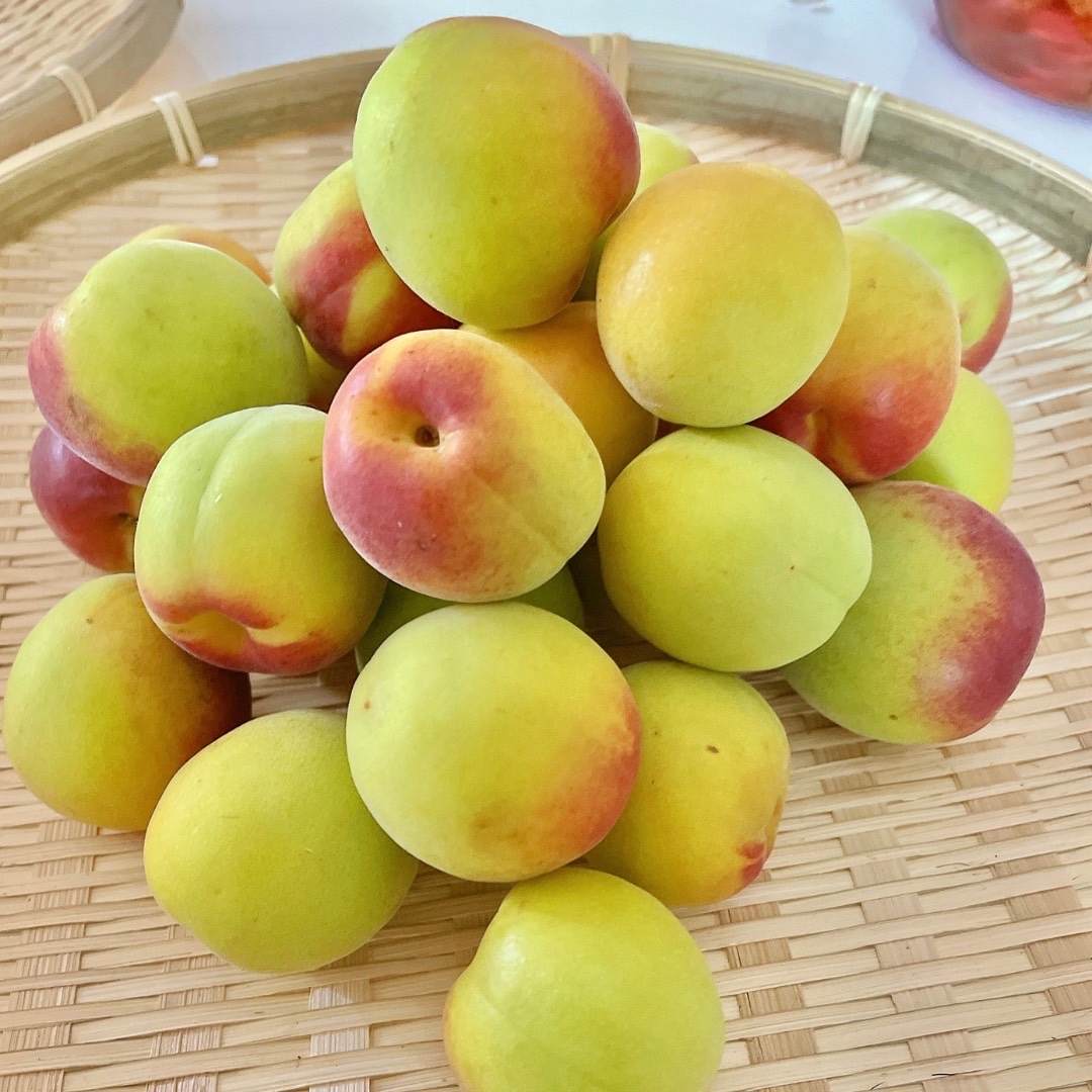 南高梅　完熟　中玉　8kg　埼玉産