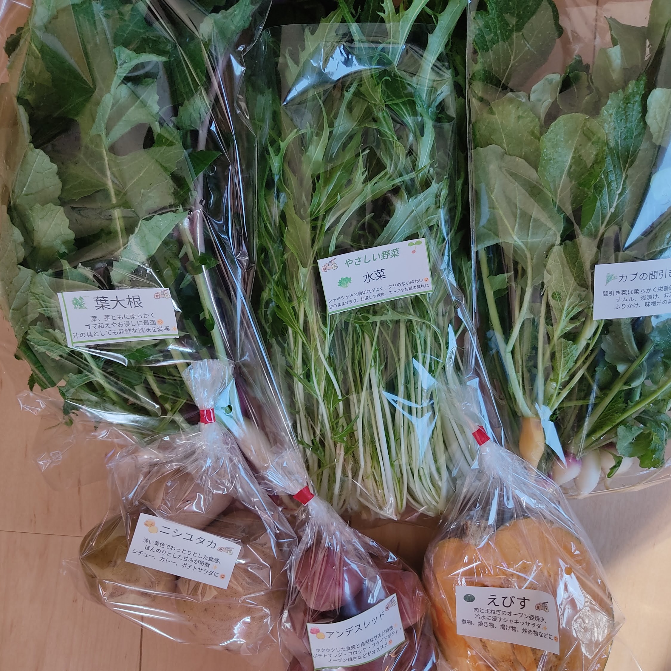 お野菜セットご連絡ページです♪ ご購入は出来ません。 迷ったらコレ｜農家厳選｜旬の定番お野菜セット（4～5品）【クール便