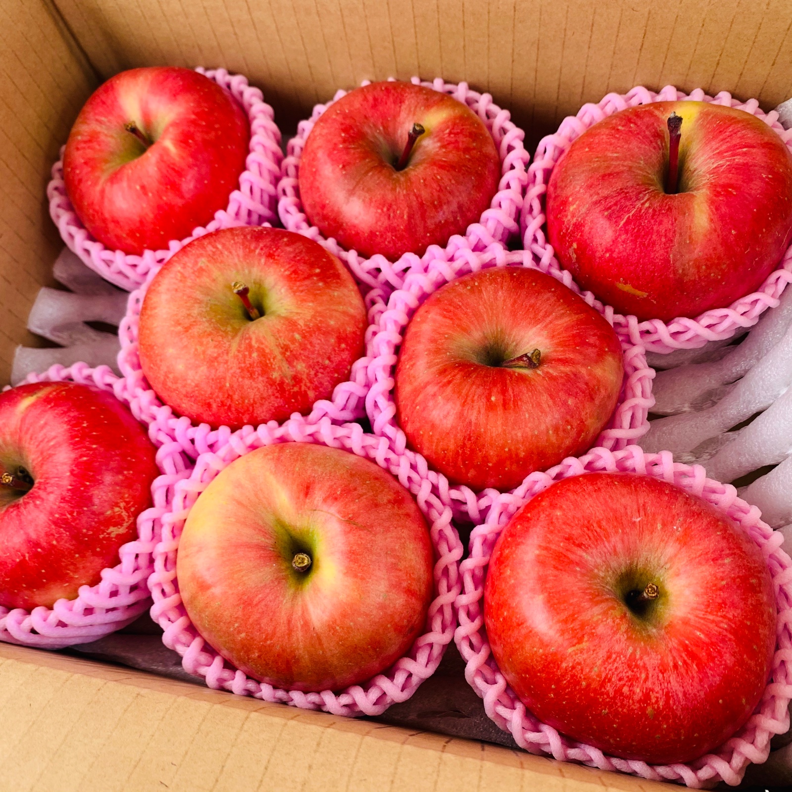 幻の蜜りんご‼️山形県産こうとく【大きめサイズ秀5キロ】 | 果物