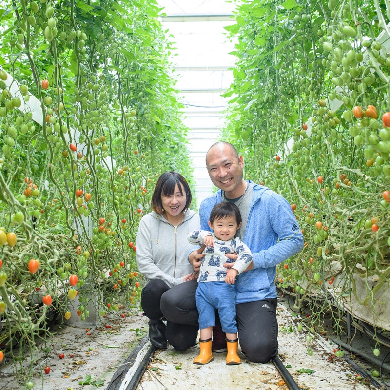 42b0d91f00bb0c31acc2d802bed269