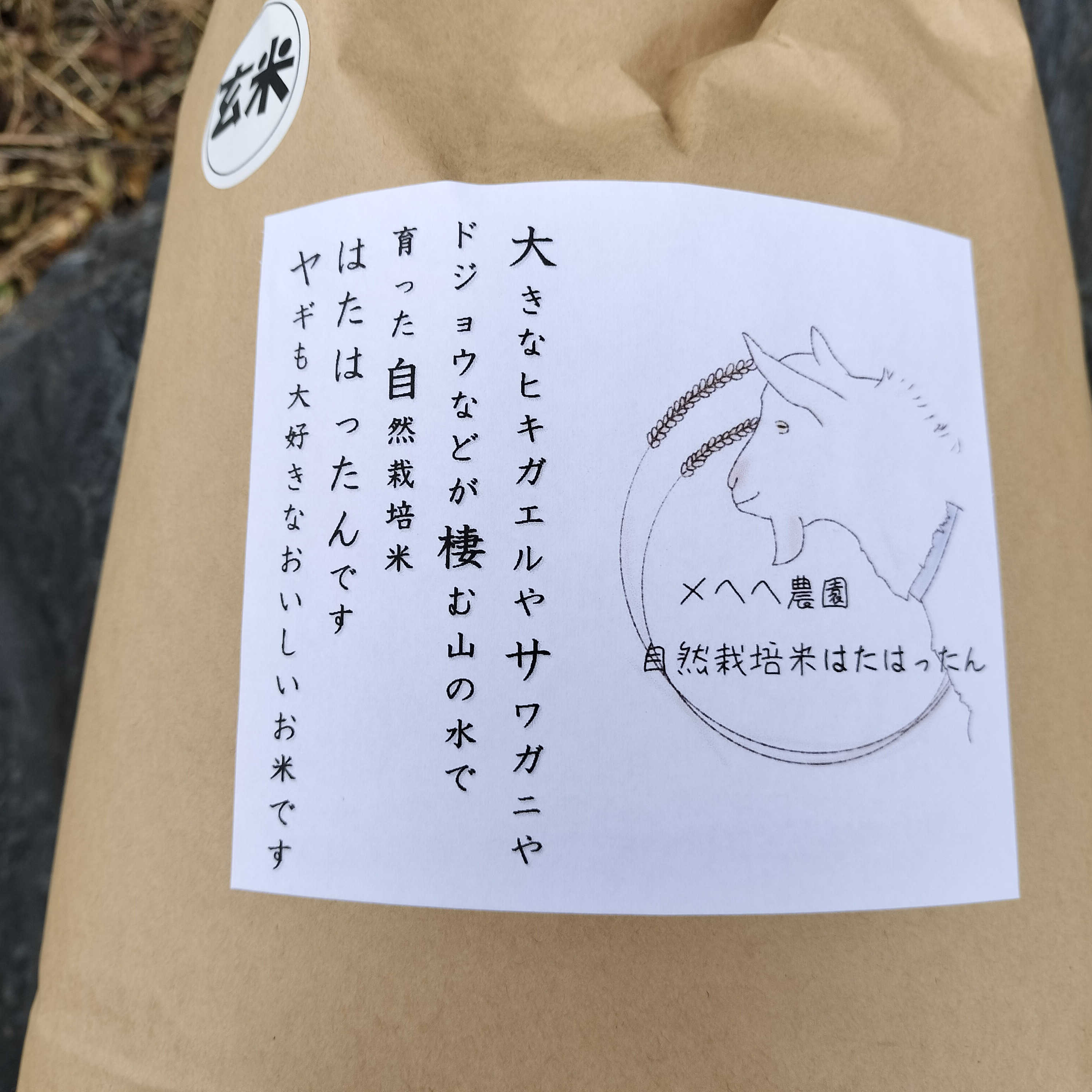 農家直送！まだあった６年産ハナエチゼン１５キロ発送！ 玄米 3kg ハナエチゼン 石川県産 令和6年 新米 3キロ 送料無料