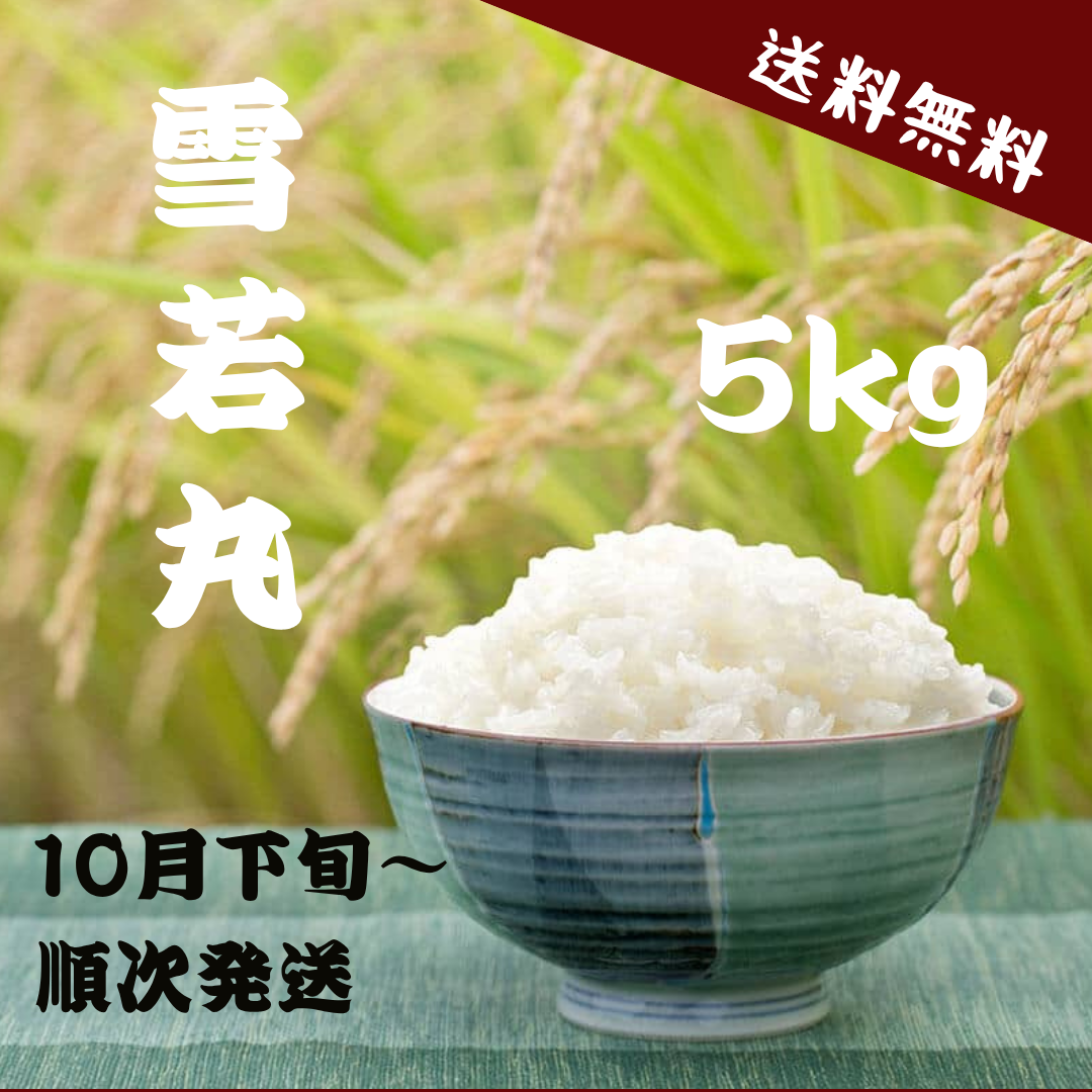 雪若丸精米5キロ、玄米5キロ 精米 山形県産 雪若丸 5kg 令和4年産: 全国おいしいお米発見