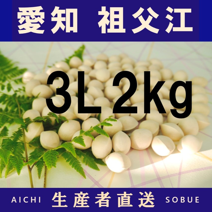 2026年新物！ 愛知県 祖父江産 久寿 銀杏 ぎんなん 3L 2kg ☆秋の味覚