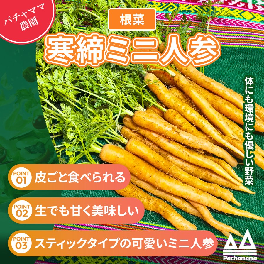 愛情たっぷり育てた寒締め葉つきミニ人参2100gパチャママ農園 ｜ 野菜