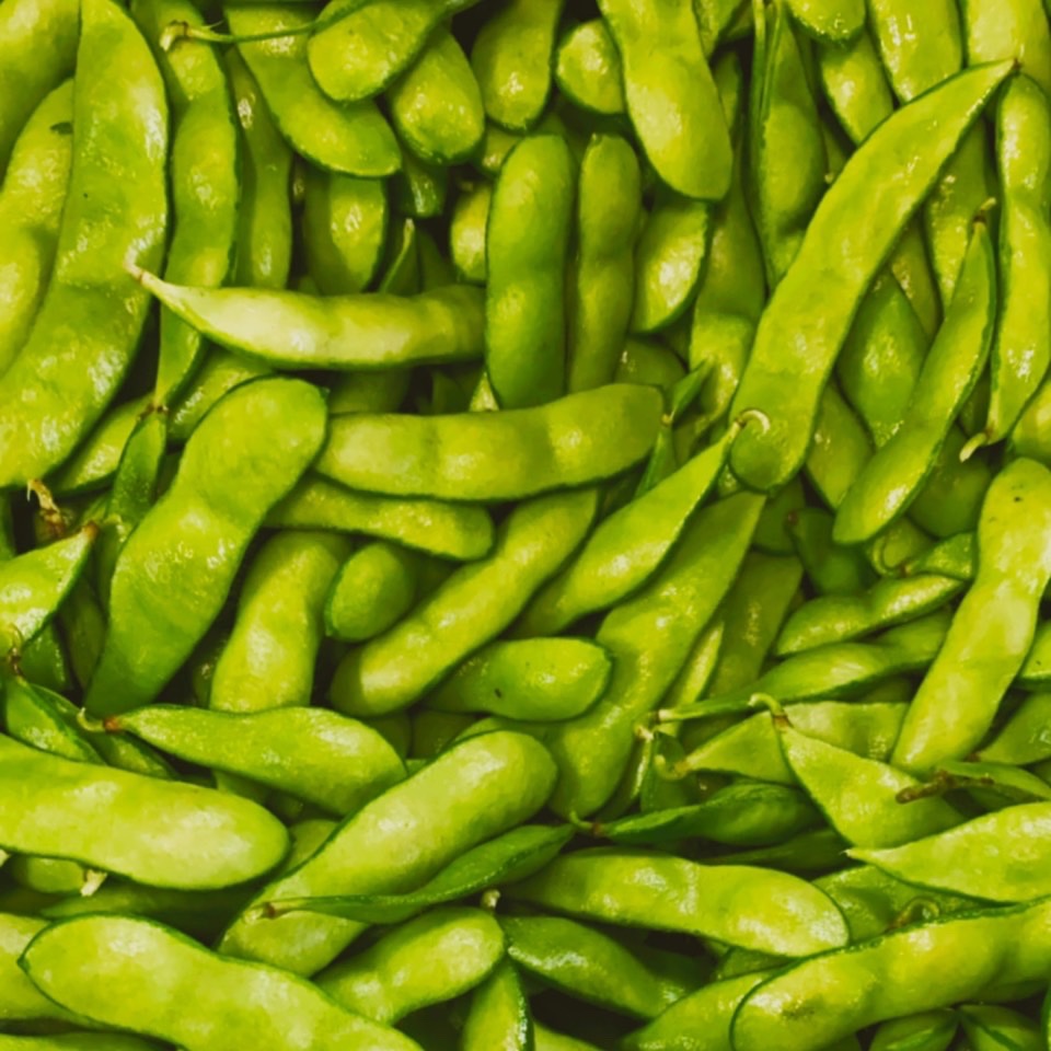 丹波篠山デカンショ豆(白大豆系統の枝豆)「200g×5個セット」 | 野菜