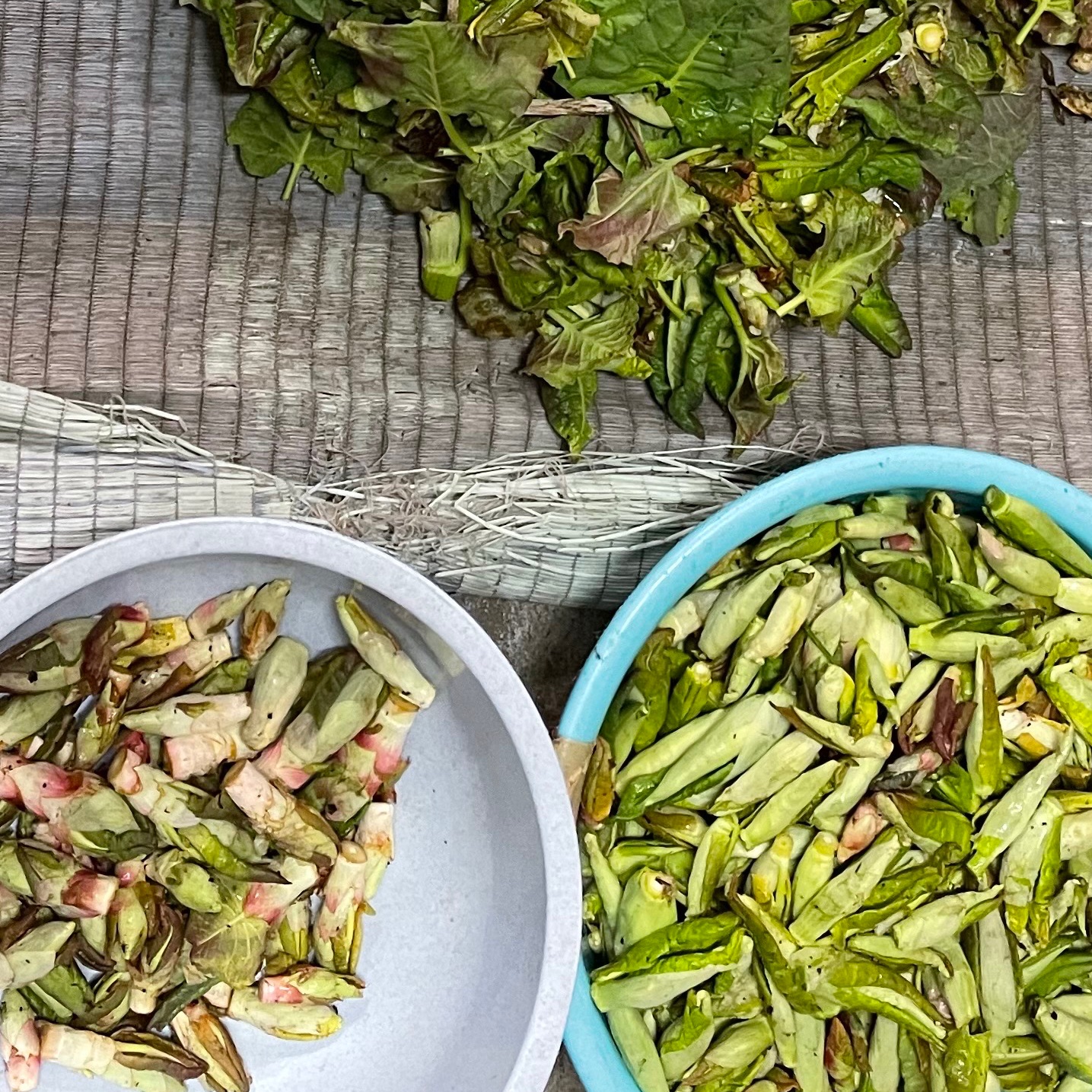 イタドリの新芽 サシボ 他に店主お任せ山菜少量セット ｜ 野菜/山菜 