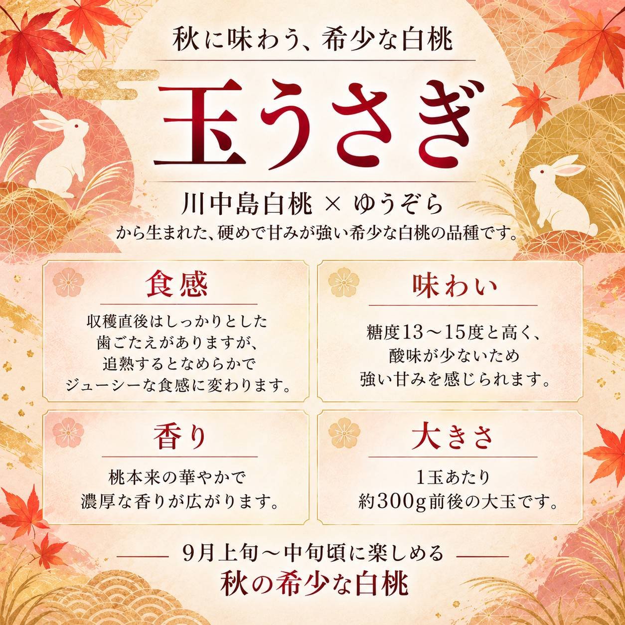 yaya様 甘美な香りが最高❤️ 大玉 浅間白桃 EM栽培 ドリップ農法 8