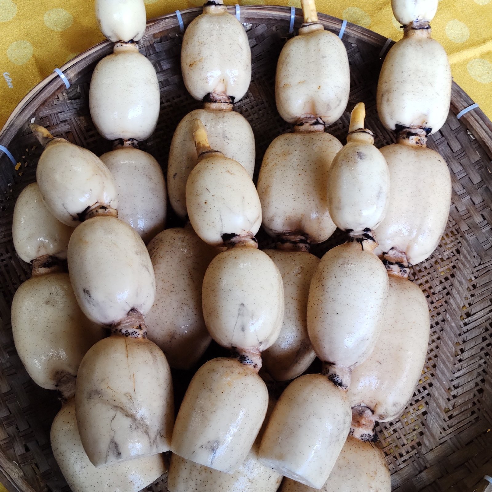 かれんこん様☺︎ 43d6d043bfc151f444056e72405308