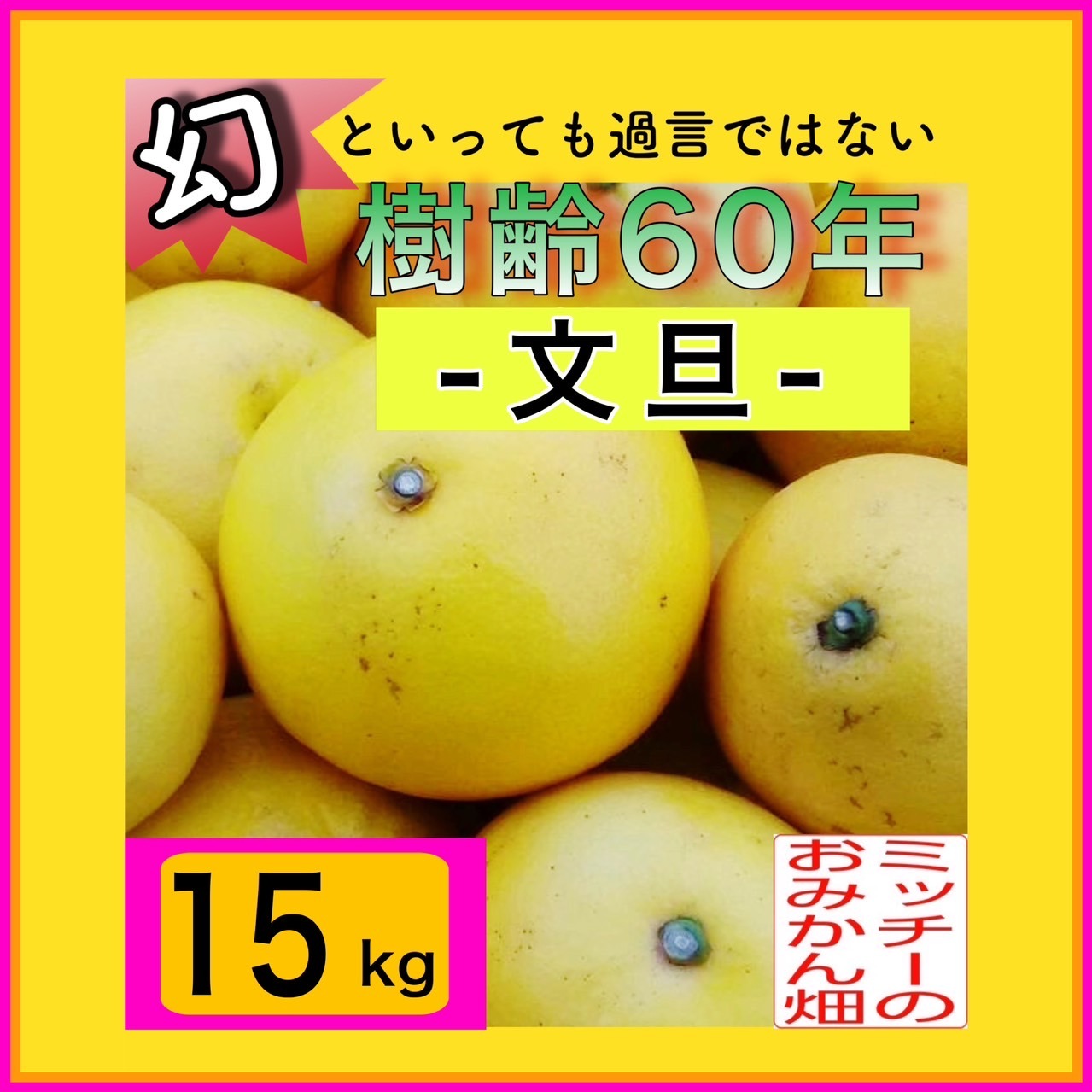 文旦　訳あり　アウトレット品　柑橘　15 2027年予約【土佐文旦訳あり10kg】日本で一番みかんと暮らしてる私たち