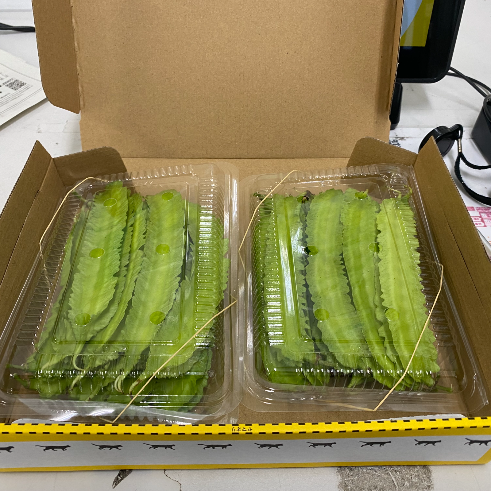 沖縄県産 うりずん豆 四角豆 100g×2パック | 野菜/豆類 産直アウル