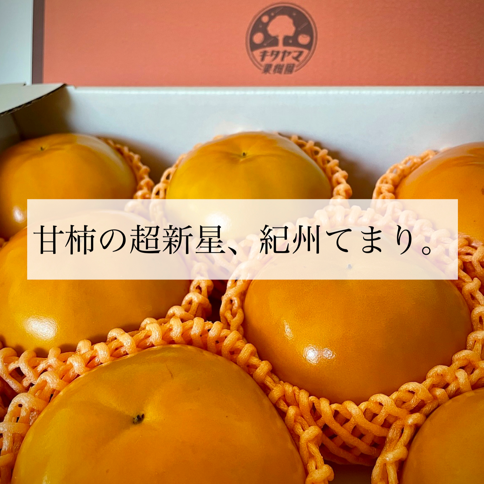 送料500円引き🍂】極上果汁！ 紀州てまり（柿）🟠✨A級スペシャル