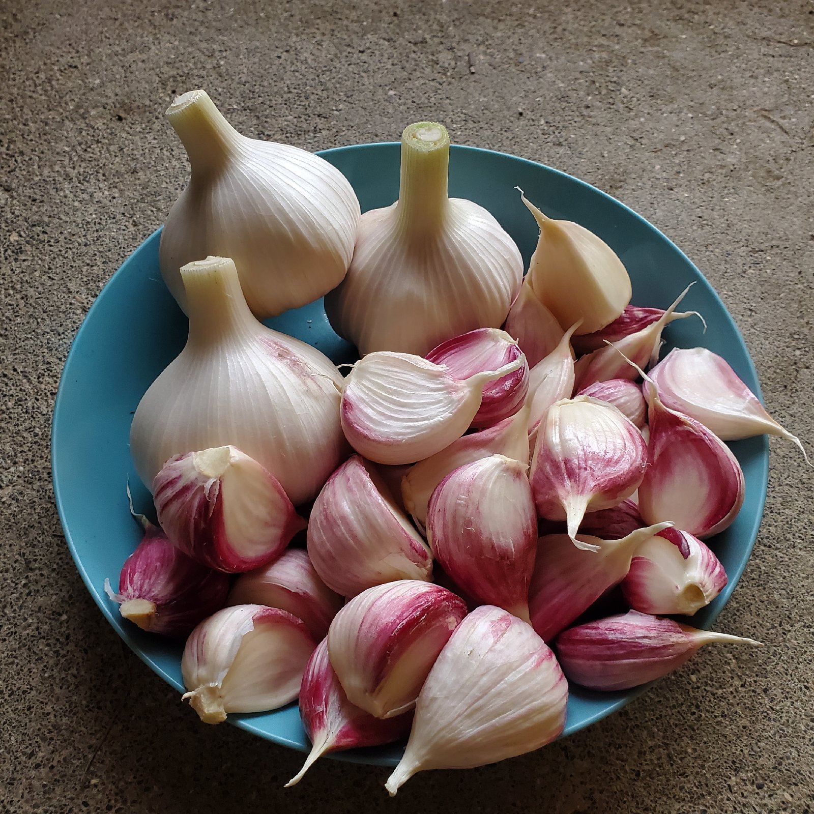 44004320ad381dc31a17d39d395737