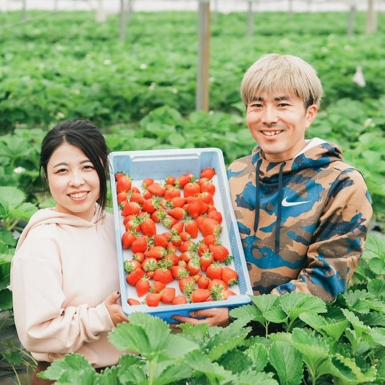 かんちゃん農園（愛媛県・西予市）｜生産者詳細｜産直アウル