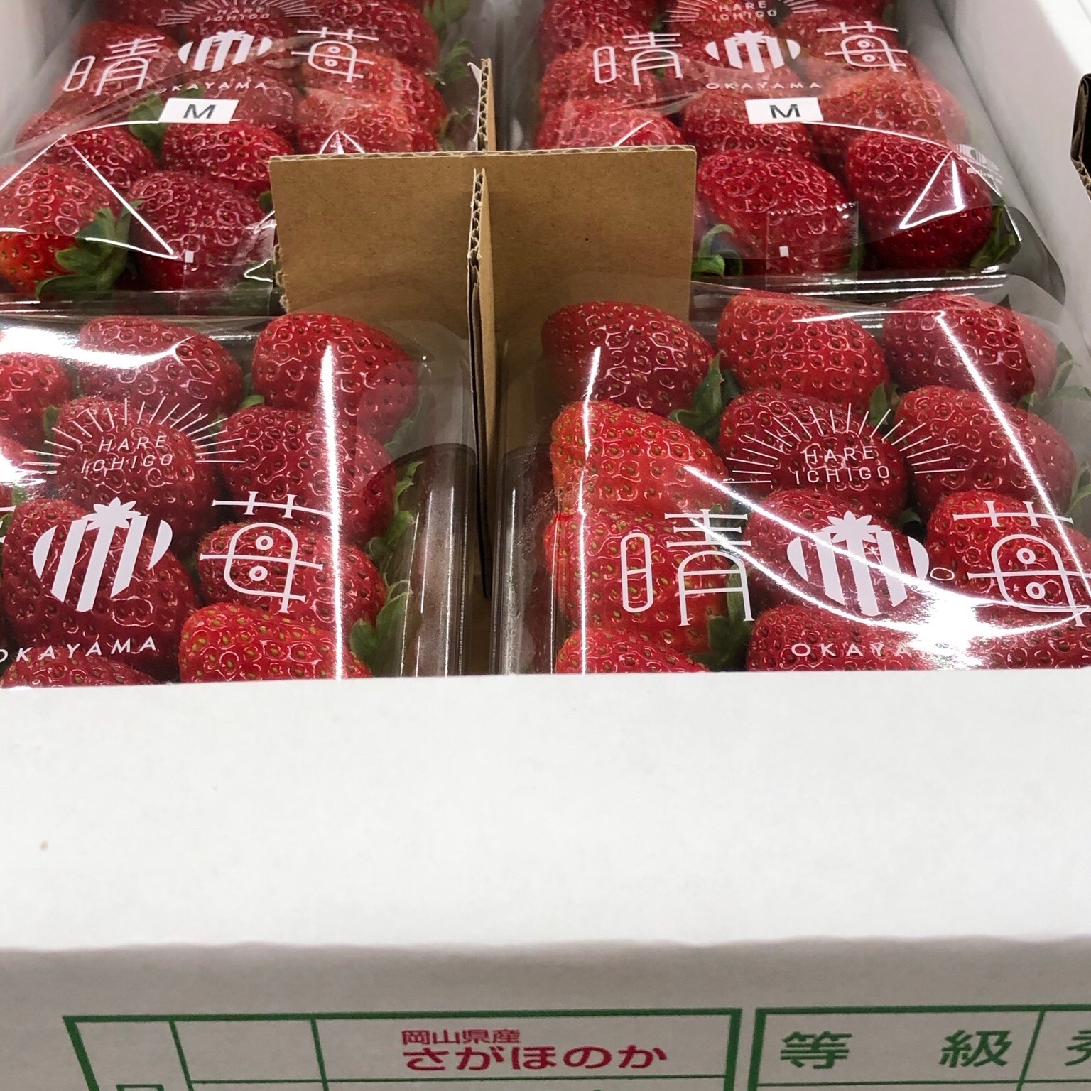 440e5db2ac8a393029c54bb374ae5e