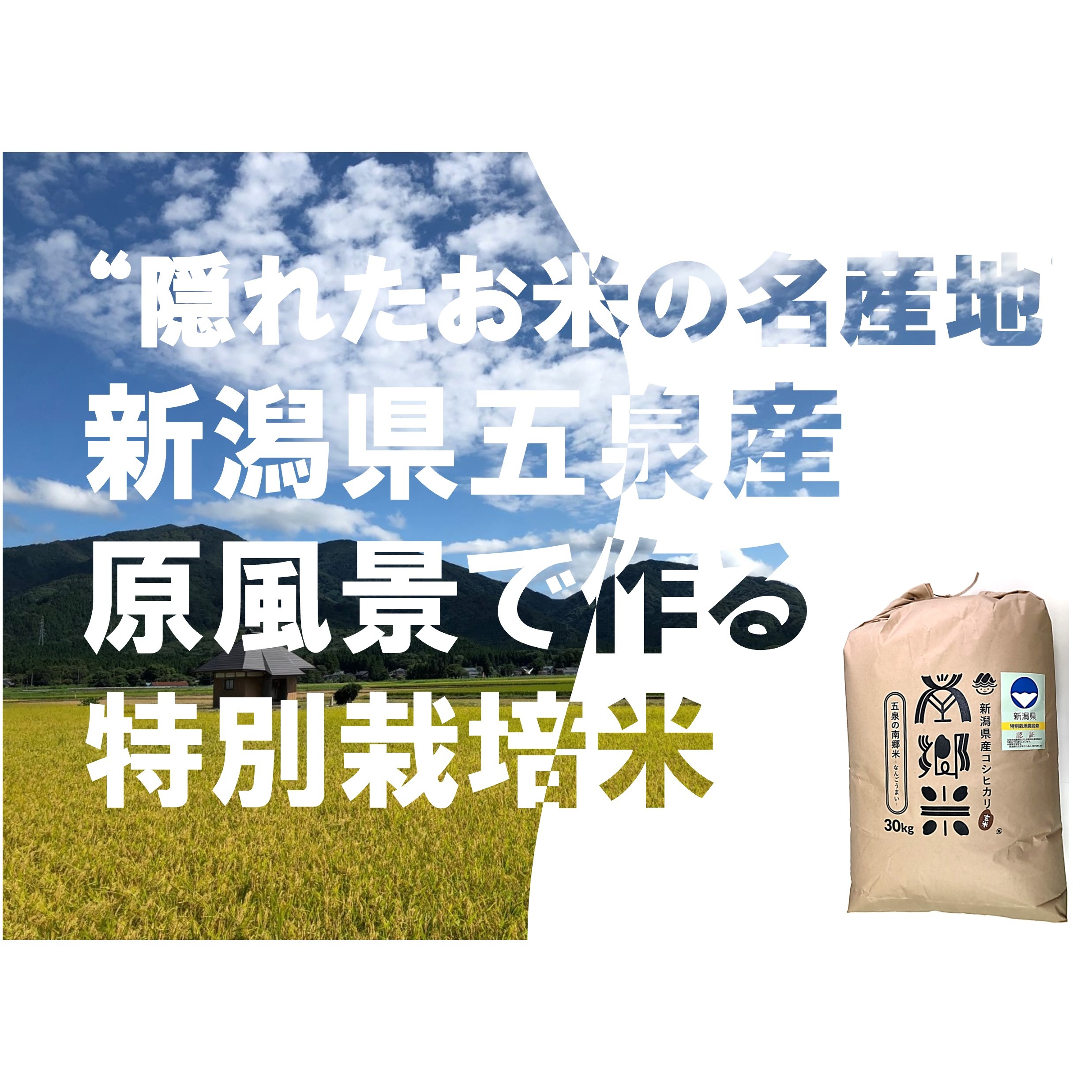 令和６年産新米！＊特別栽培米''隠れたお米の名産地''新潟県五泉産コシヒカリ100%「南郷米」玄米30kg | 米・穀物/玄米 産直アウル 農家 から直接野菜などの食材を購入できる産地直送の宅配通販サイト