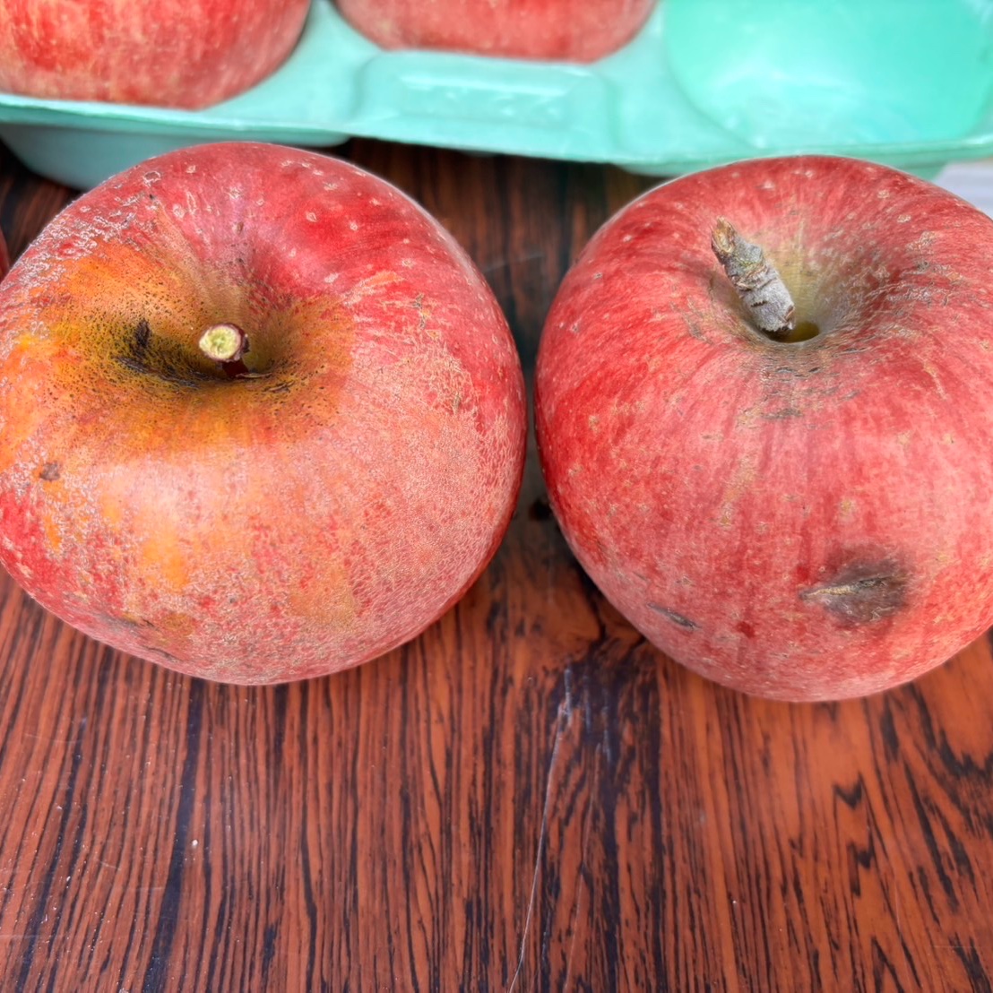 🍎【訳あり】サンふじ：ご家庭用 1箱限定価格 | 果物/りんご 産直