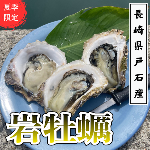 🦪【期間限定サービス】Lサイズ2kg（＋1個）クセが少なく旨み