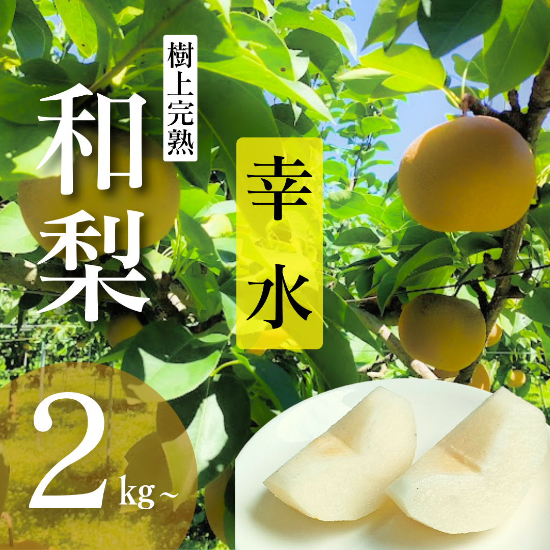 和梨「幸水」（5～6個）2.2kg以上 ｜ 果物/梨 産直アウル 農家・漁師