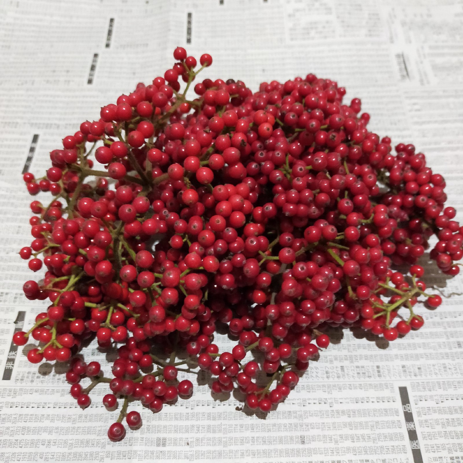 4448629c8b58c93eeb7a31a1b277ed