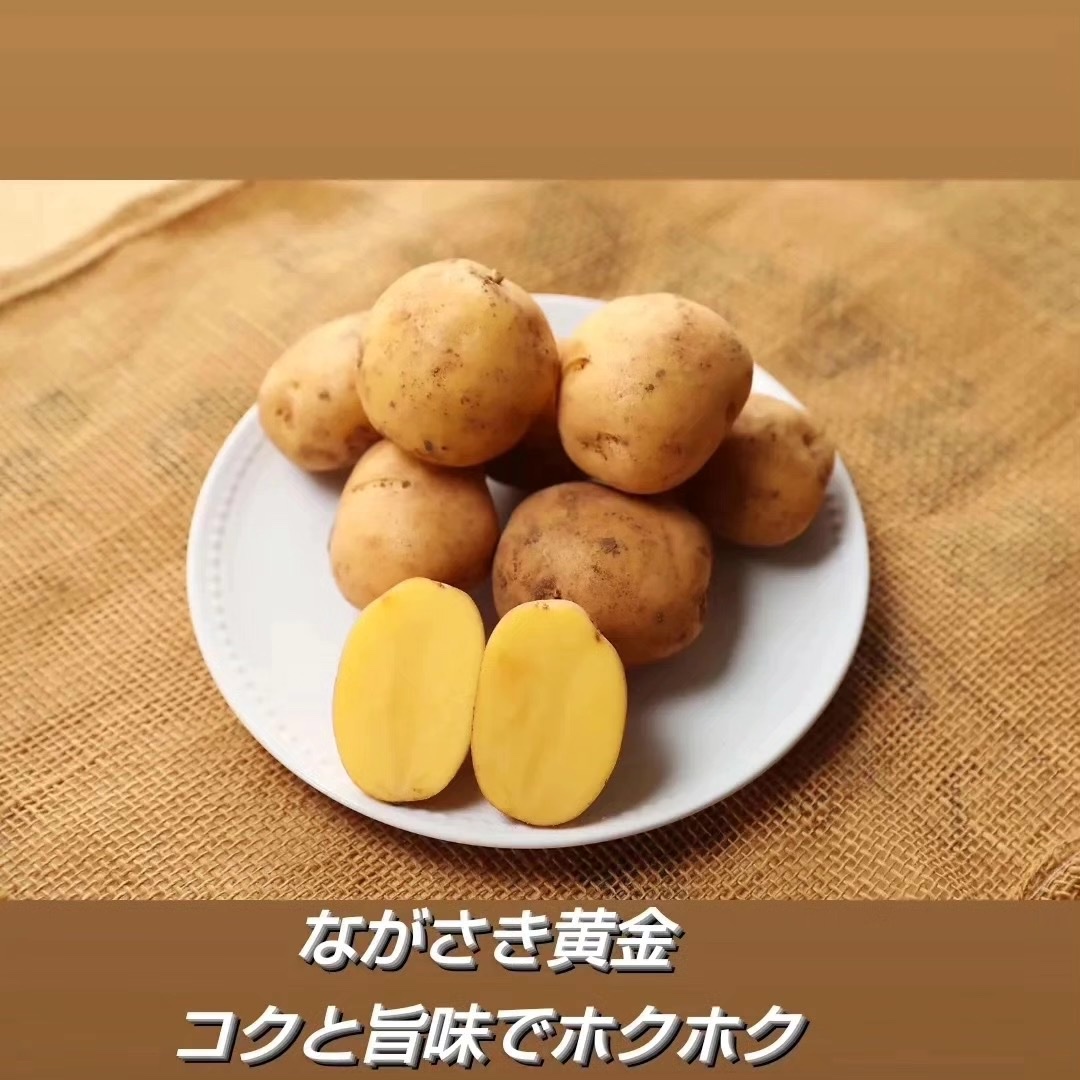 じゃがのまつながの最新投稿「春の新じゃがいも ながさき黄金 予