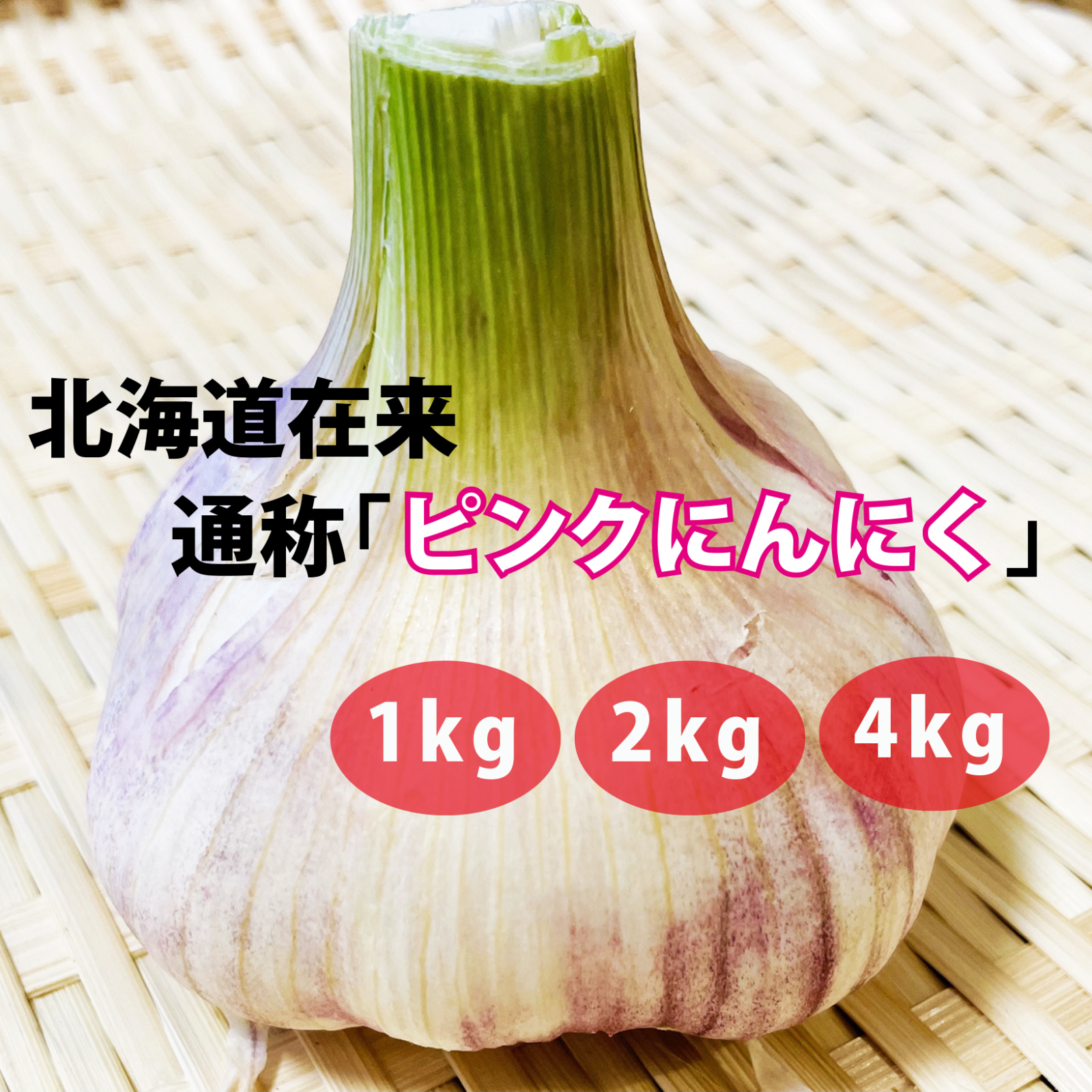 北海道在来 通称「ピンクにんにく」(R7・札幌産)1kg ｜ 野菜/にんにく