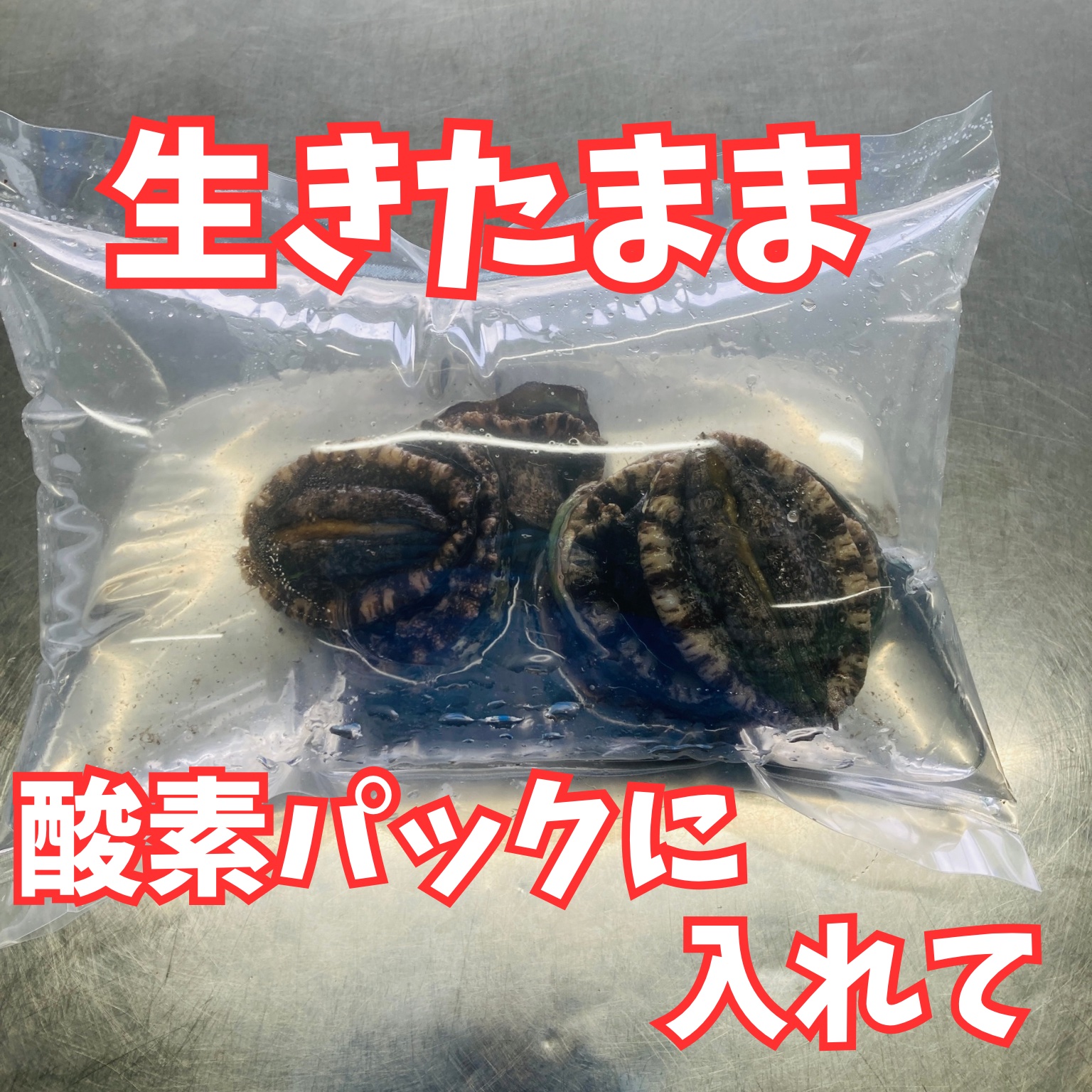 44b4a01098c9241820a67f5bd161fe