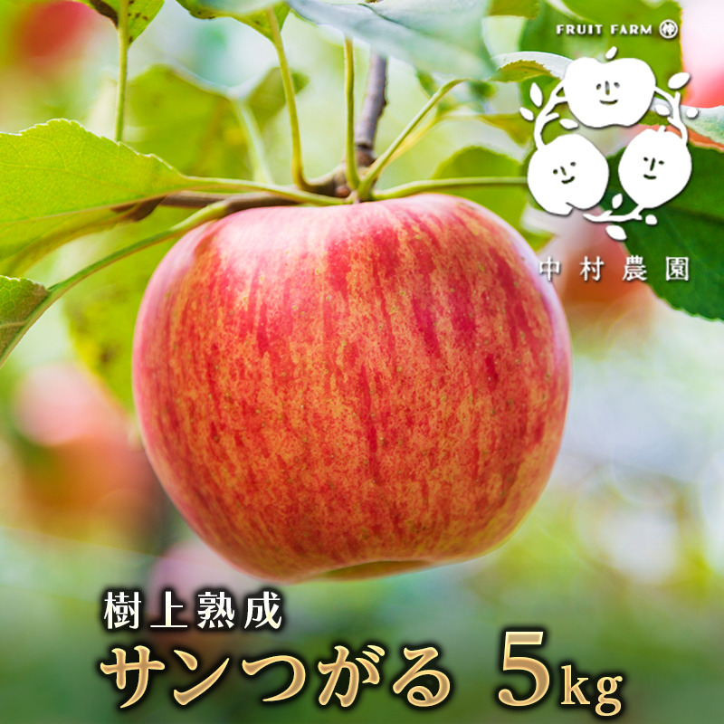 超お得「数量限定」サンつがる10kg家庭用（着色不良、サビ、キズ