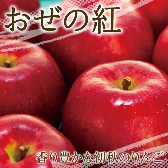 Ayaco☆　紅プリ4kg+訳ありせとか8kgぐるりん りんご【おぜの紅】訳あり約3kg 2026年度予約受付中 香り豊かな初秋の