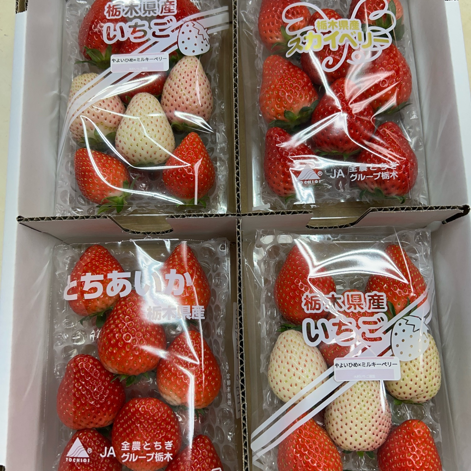 ご自宅用☆いちごのミステリーパック福袋 ｜ 果物/いちご 産直アウル