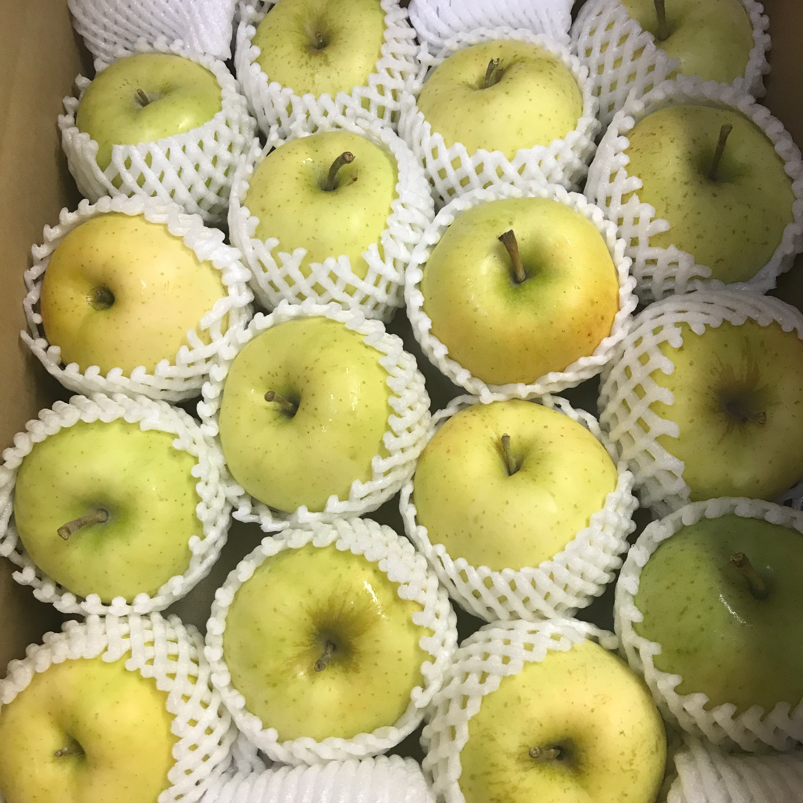 甘くてジューシー！】青森県産りんご 「トキ」家庭用 キズ有 約5kg